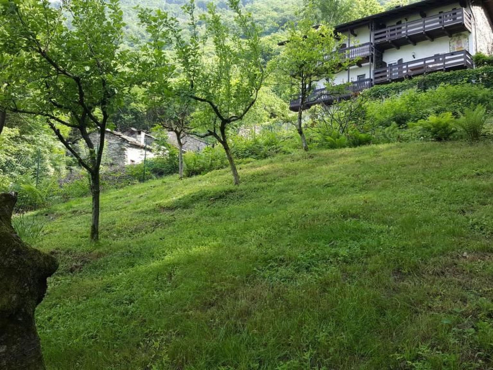 Gallery Image 18