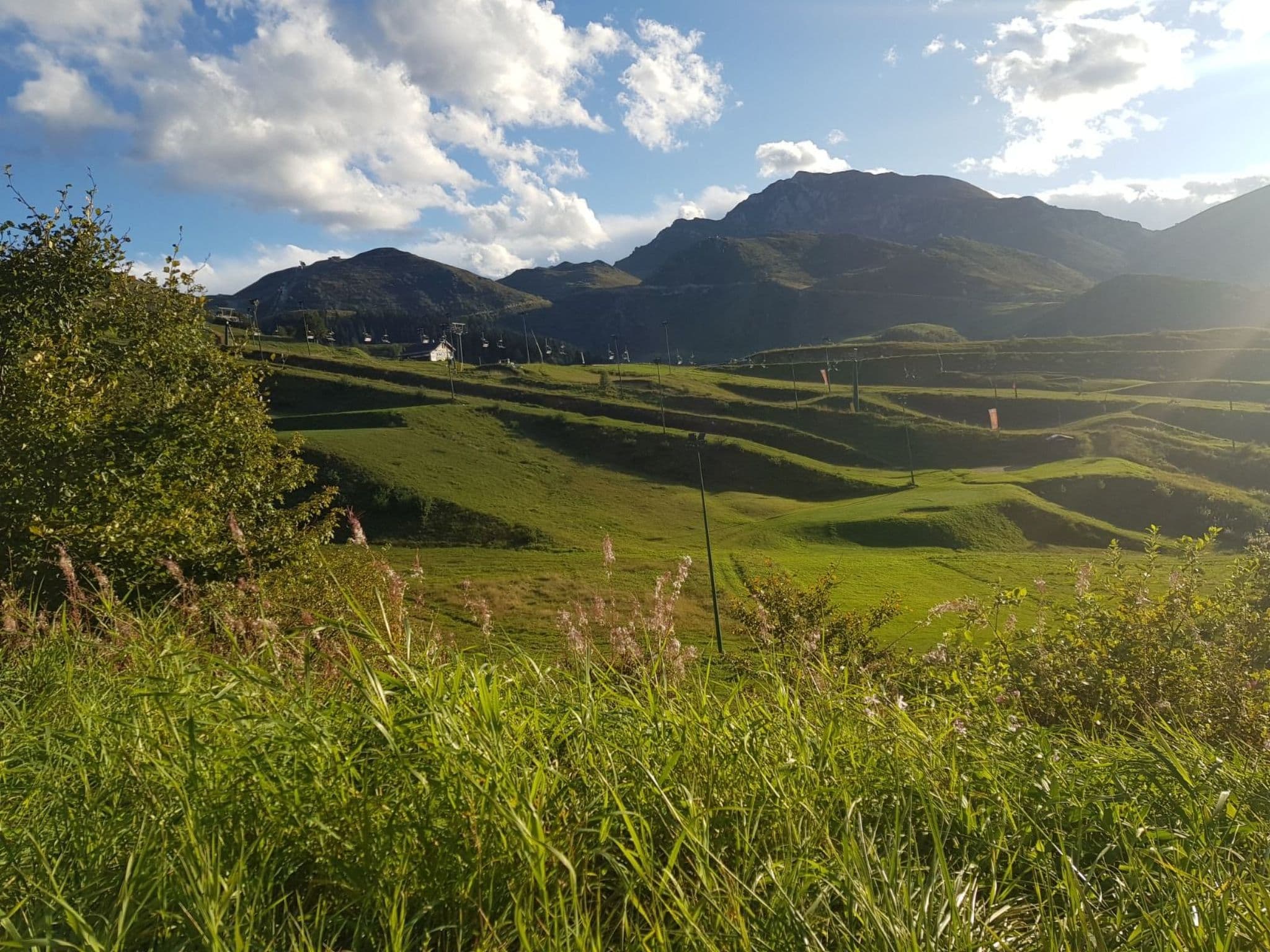 View