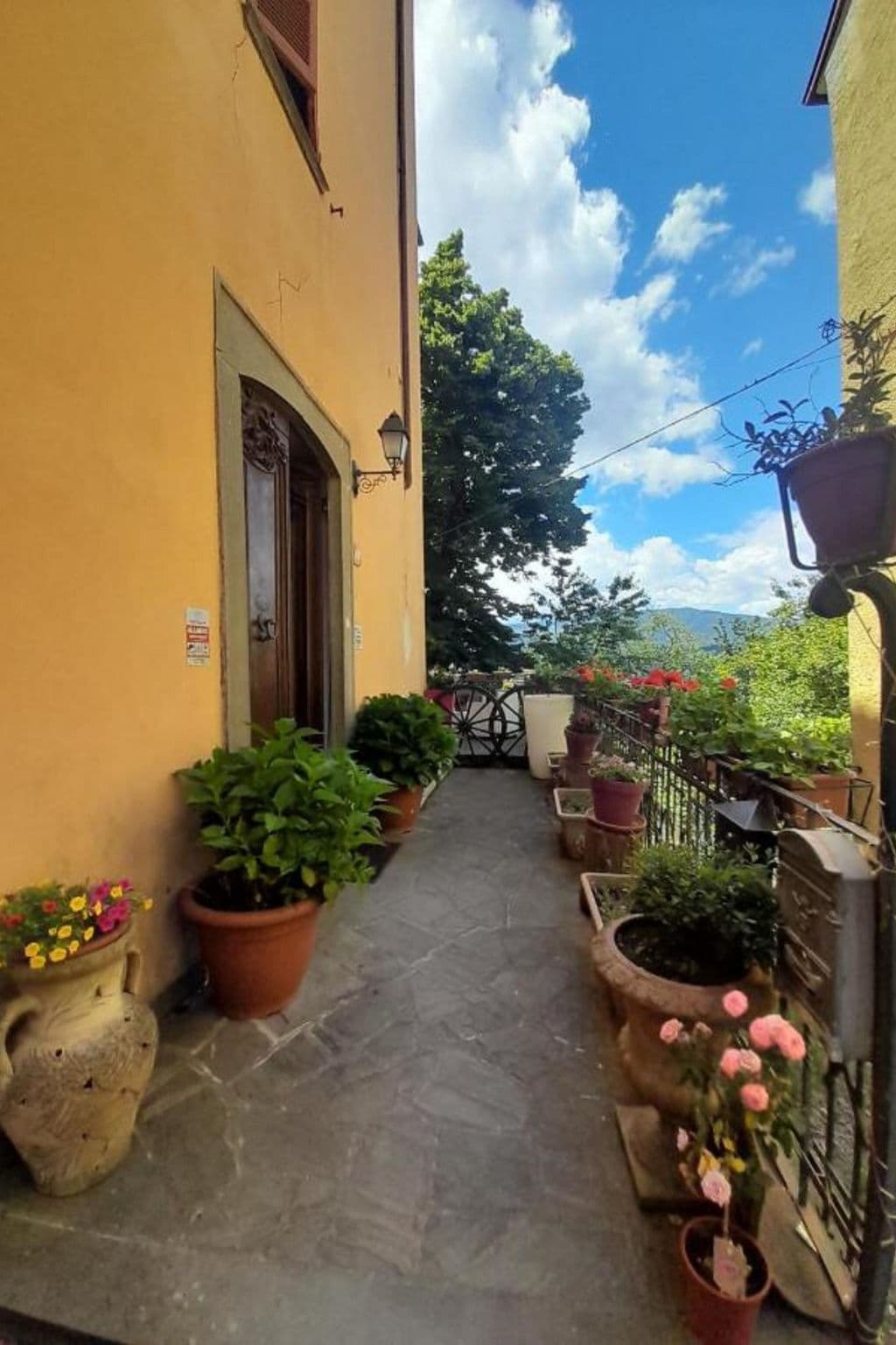 Gallery Image 11