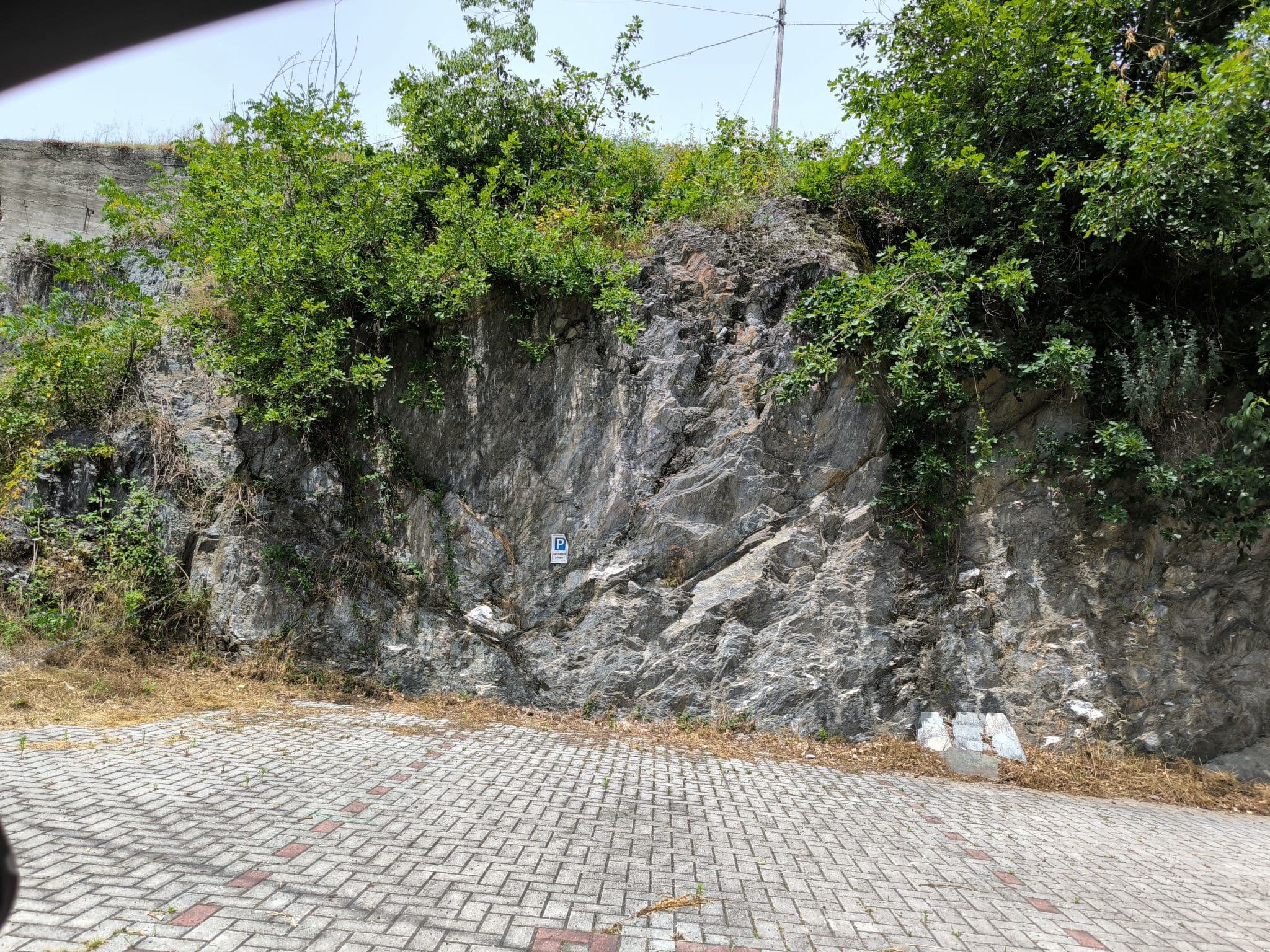 Gallery Image 23