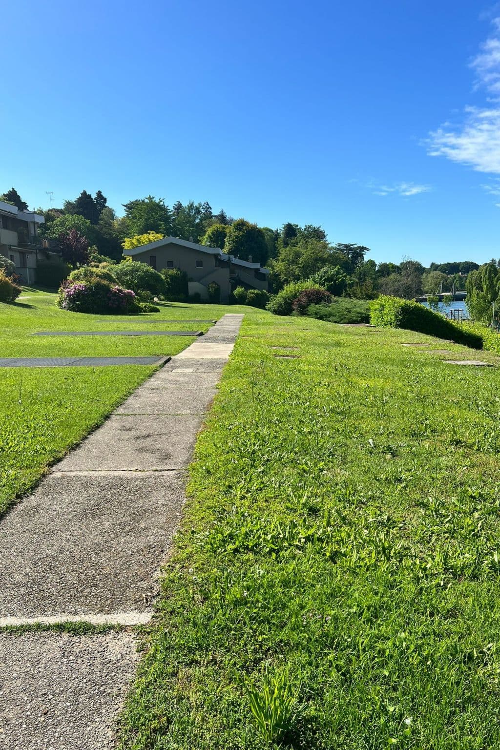 Gallery Image 17