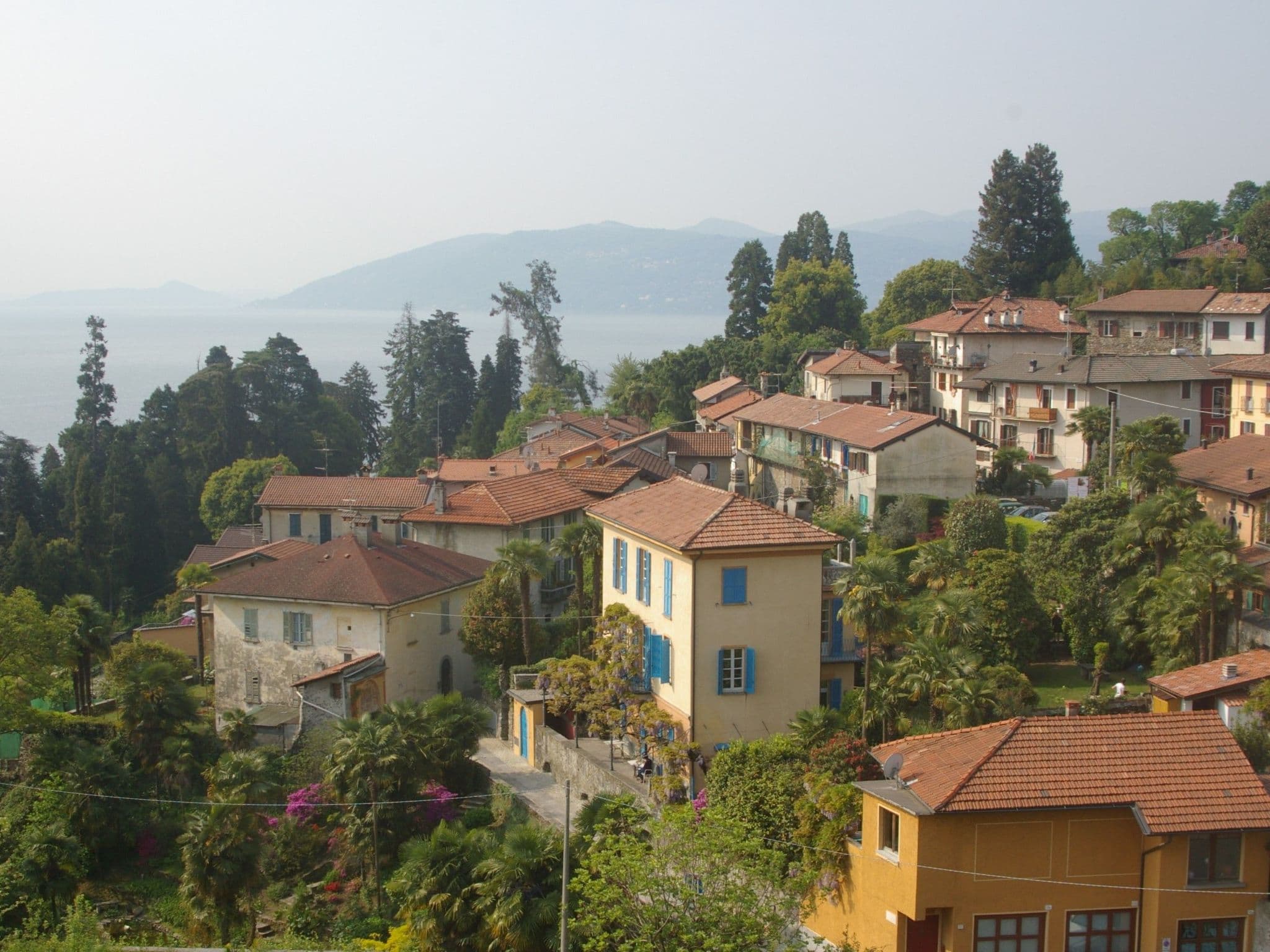 Gallery Image 21