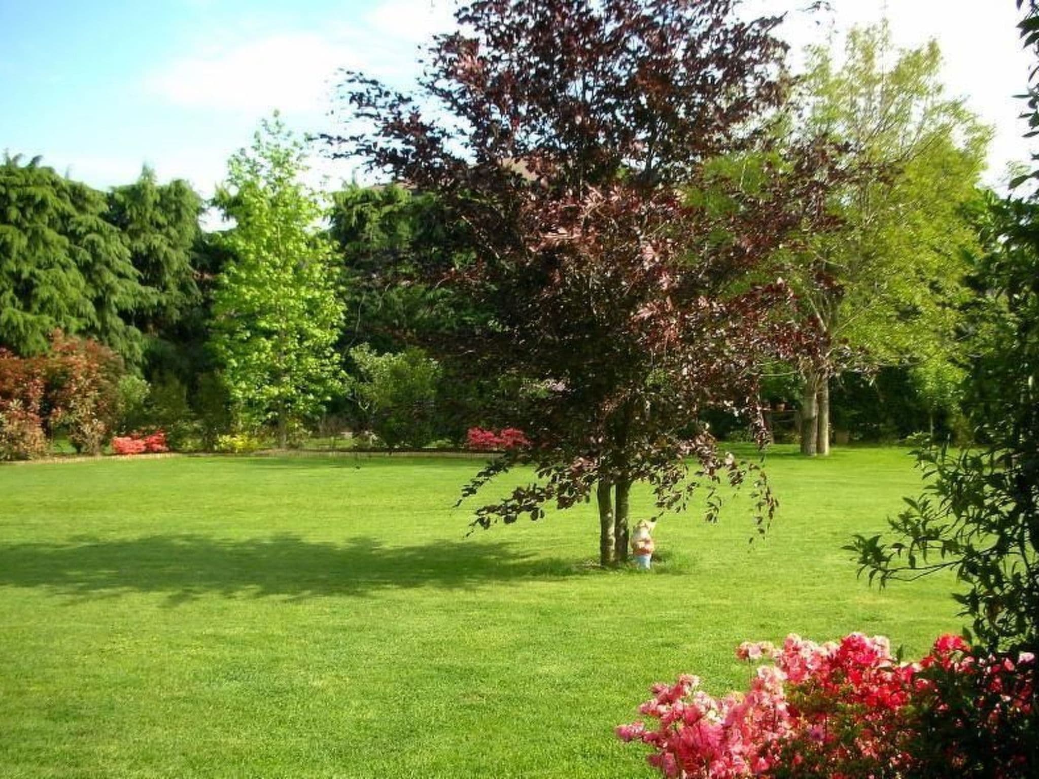 Gallery Image 15