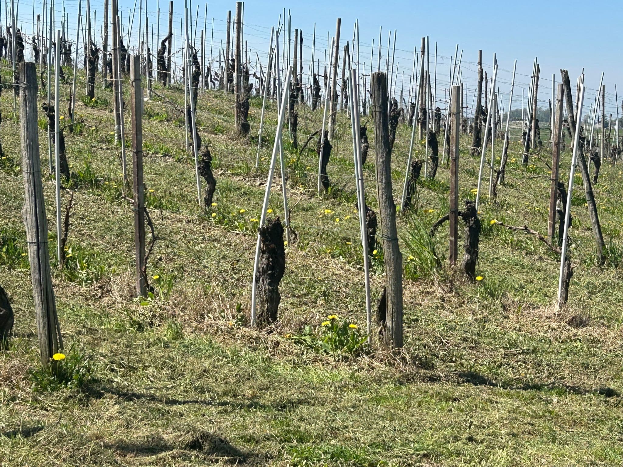 Gallery Image 17