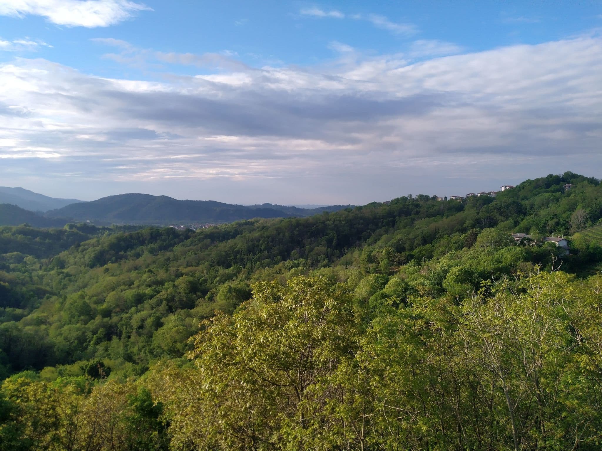View