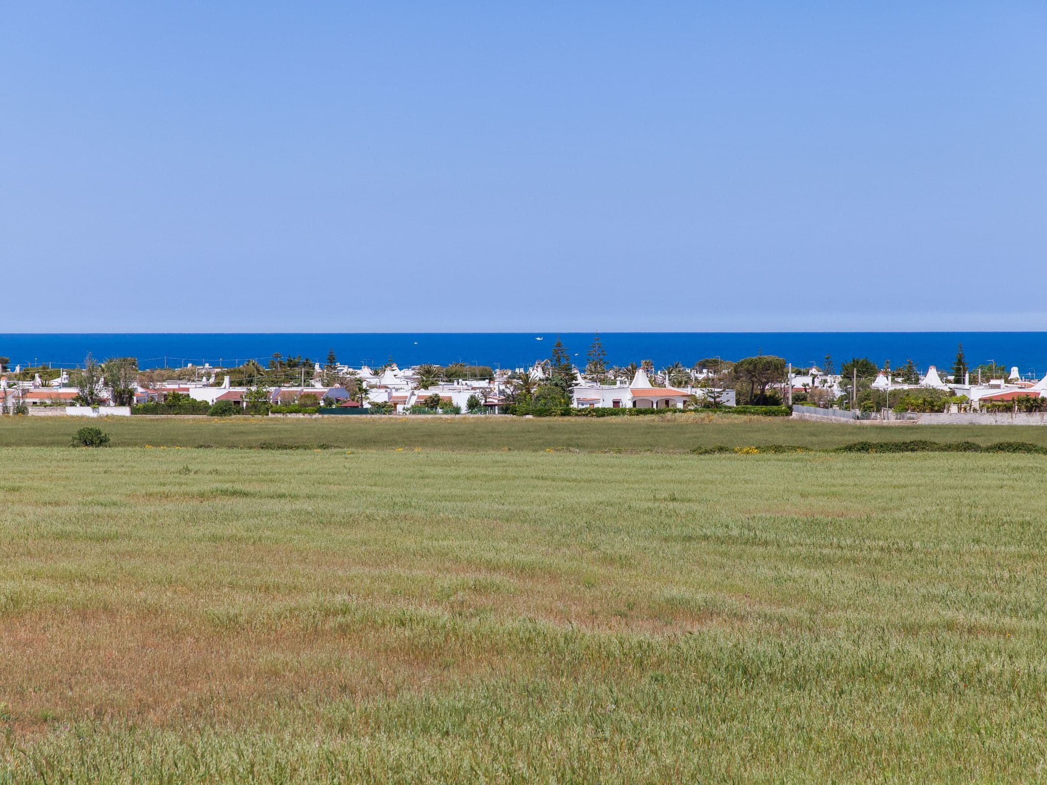 Gallery Image 24