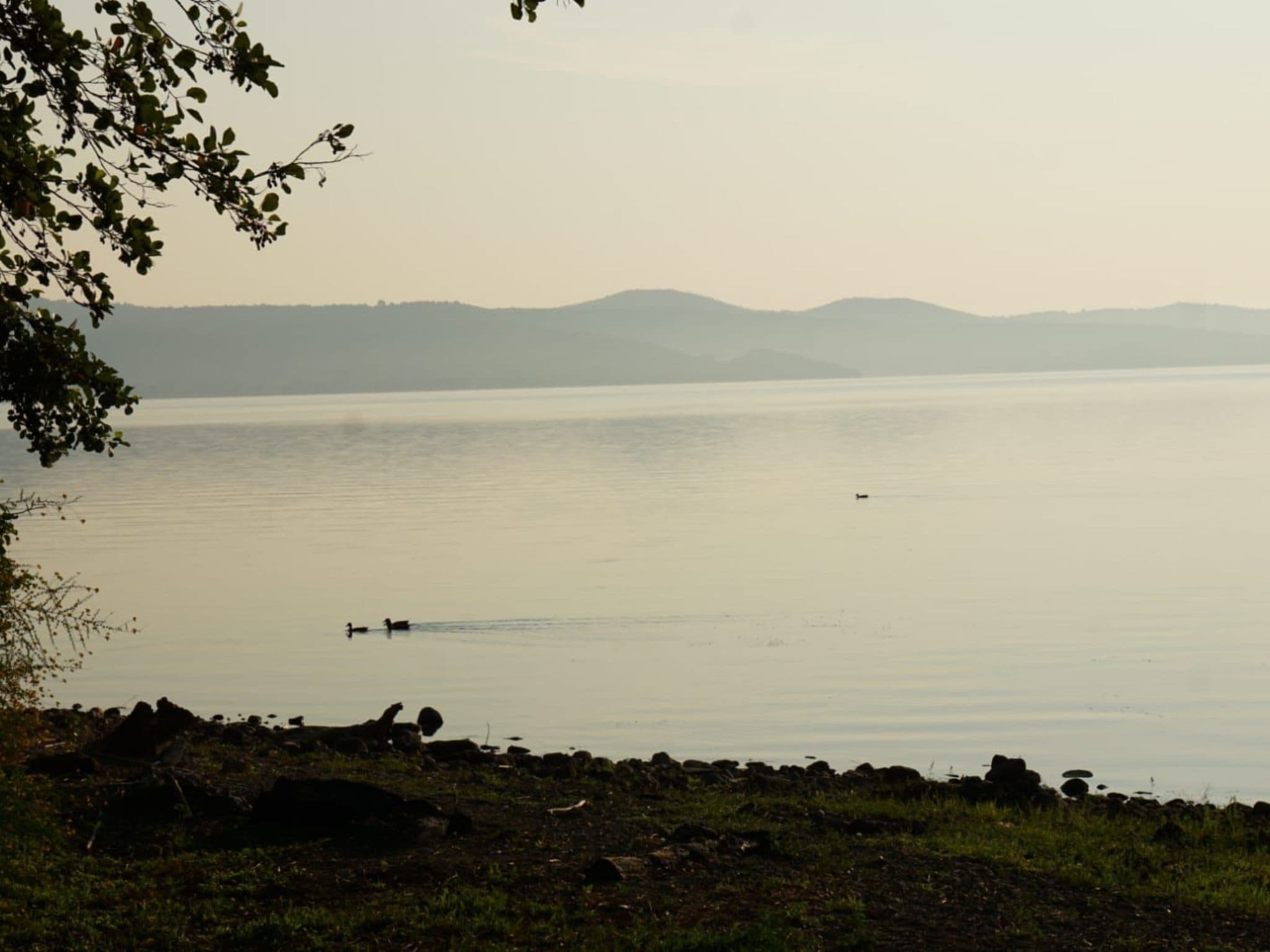 View