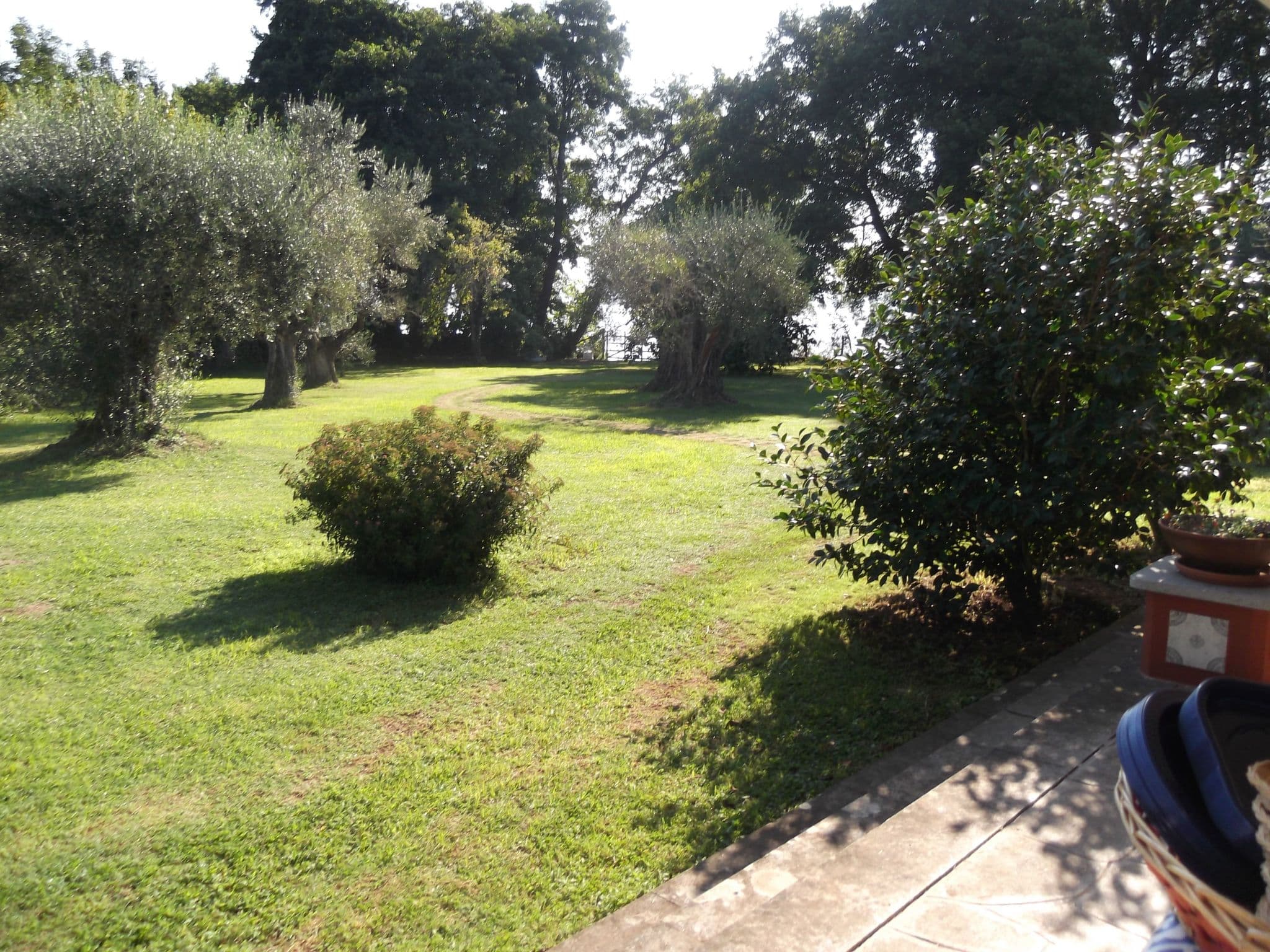 Gallery Image 6