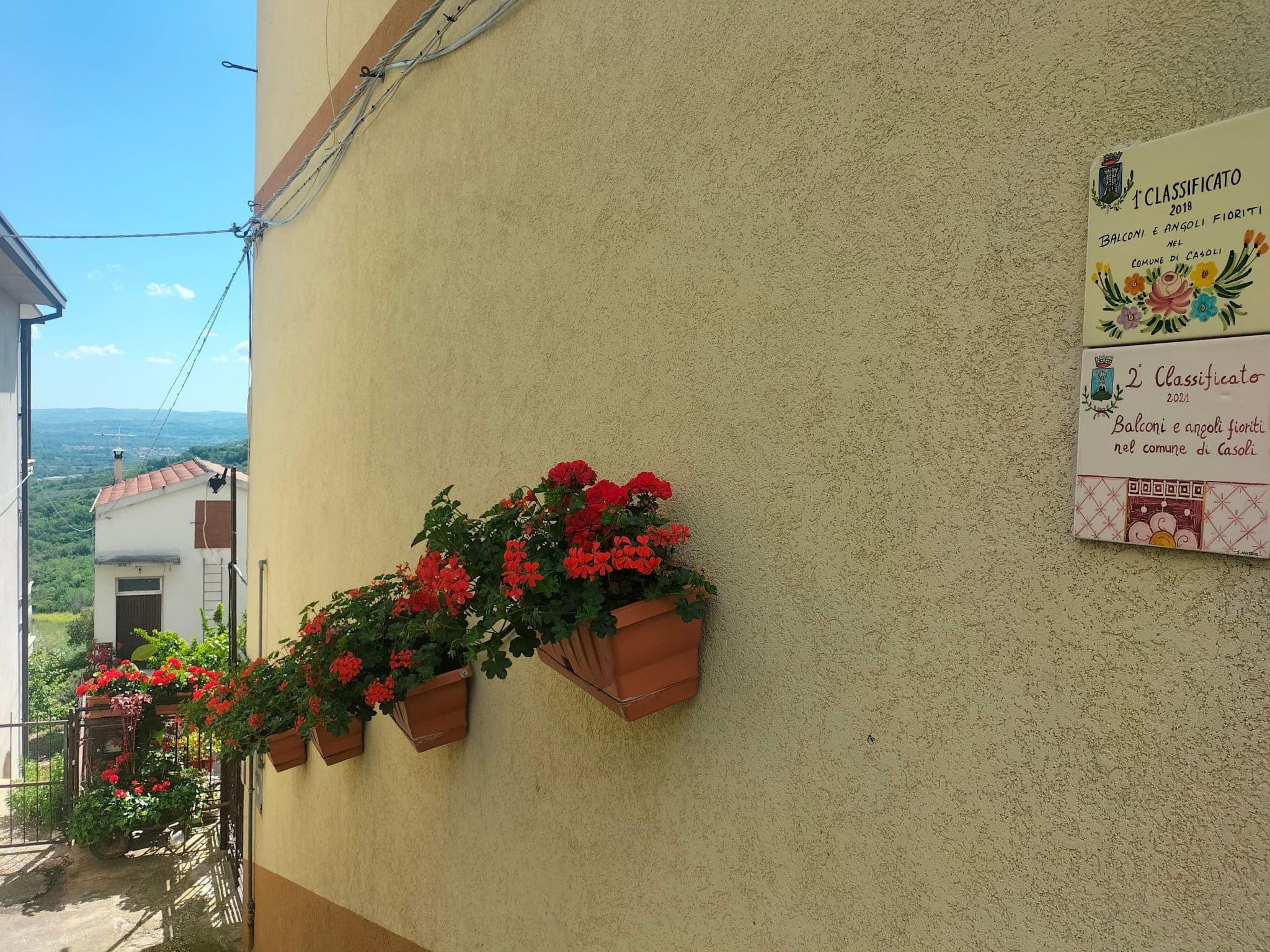 Gallery Image 49