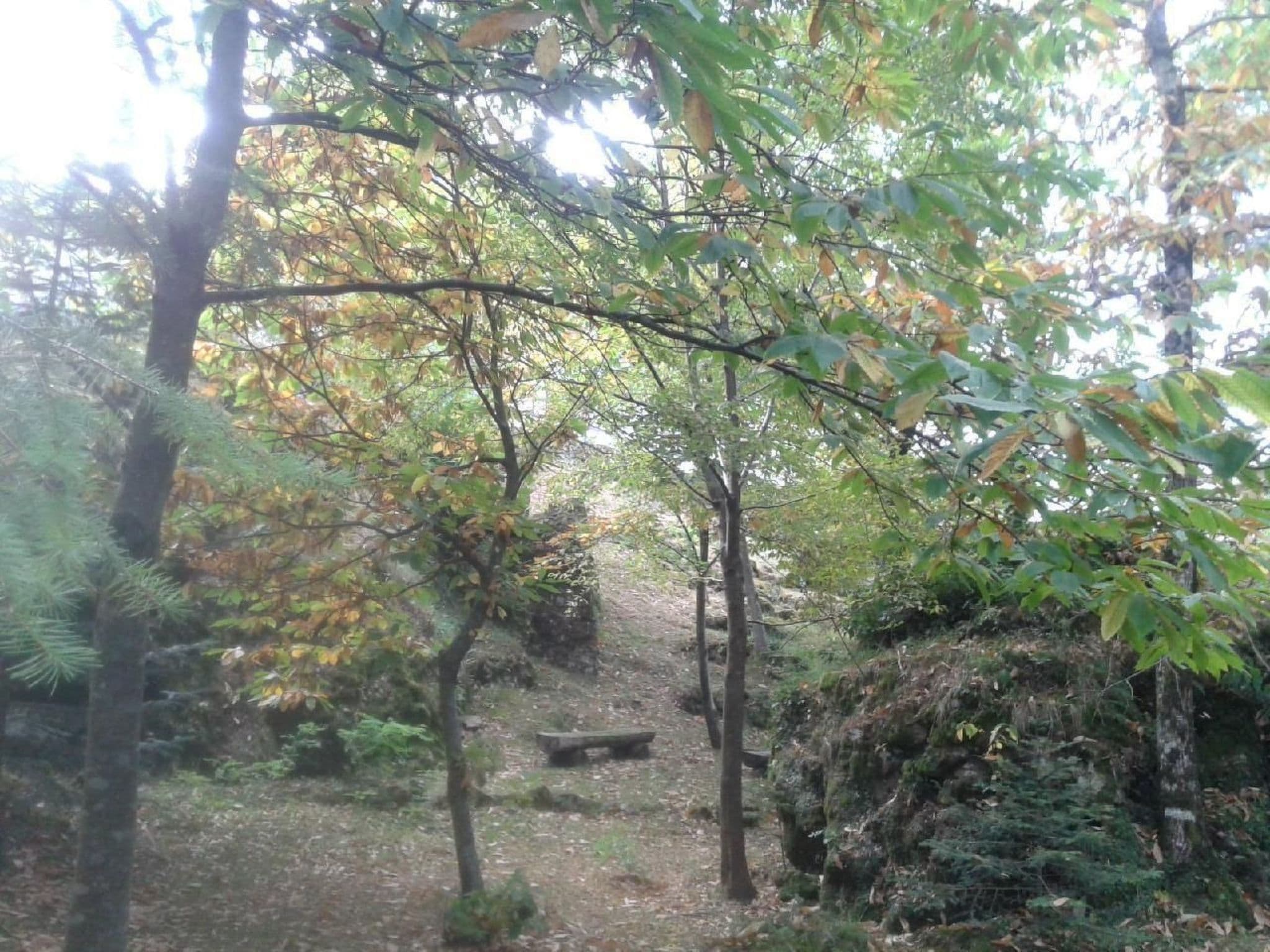 Gallery Image 18