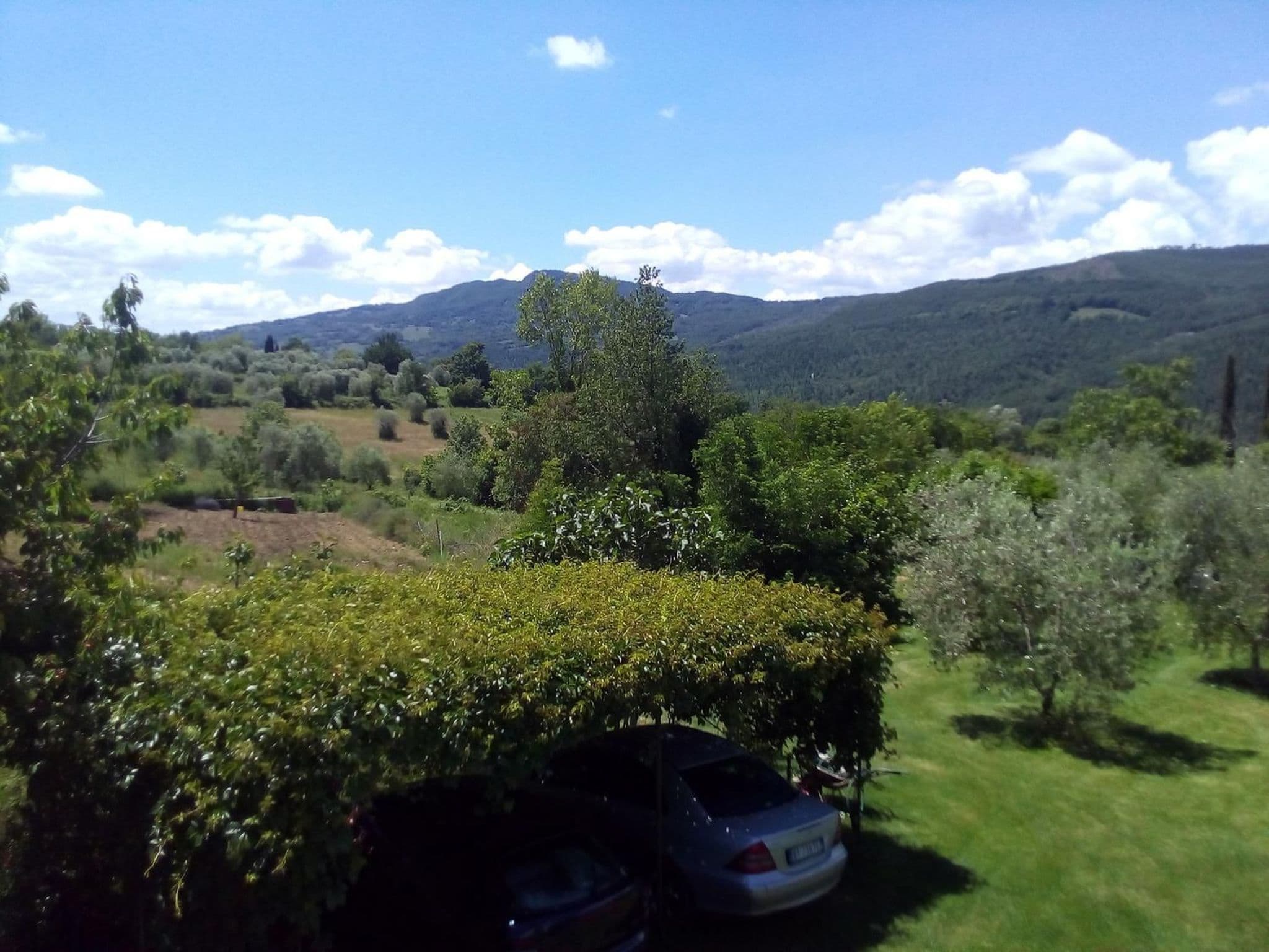 Gallery Image 35