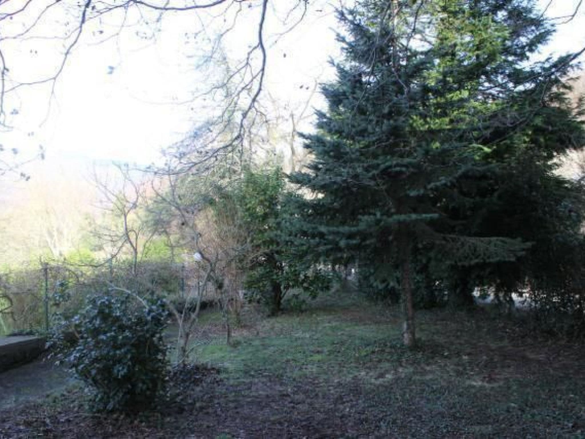 Gallery Image 31