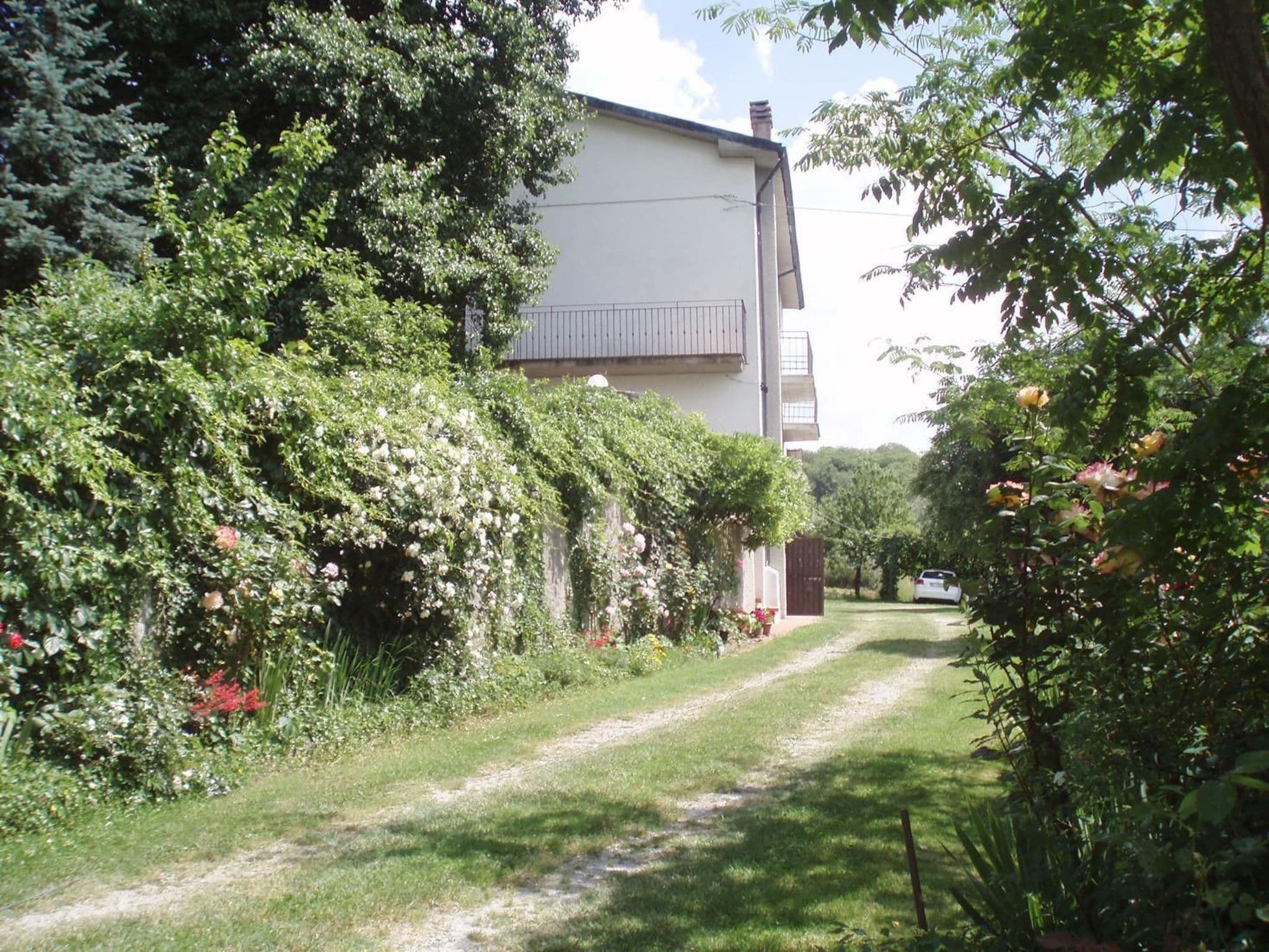 Gallery Image 26