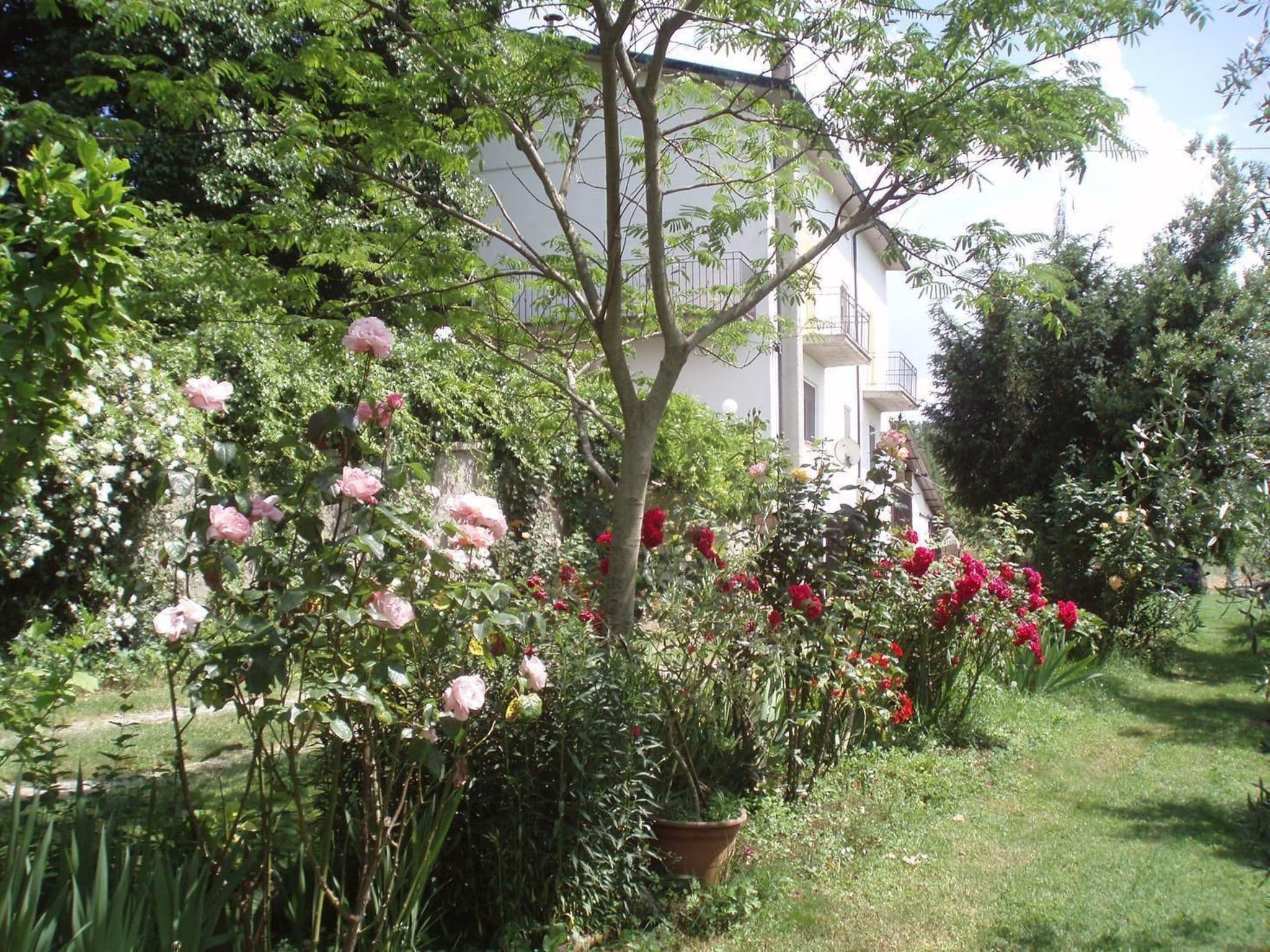Gallery Image 25