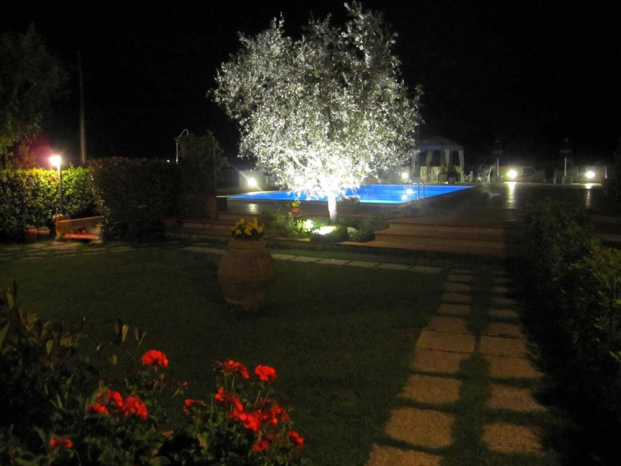 Gallery Image 26