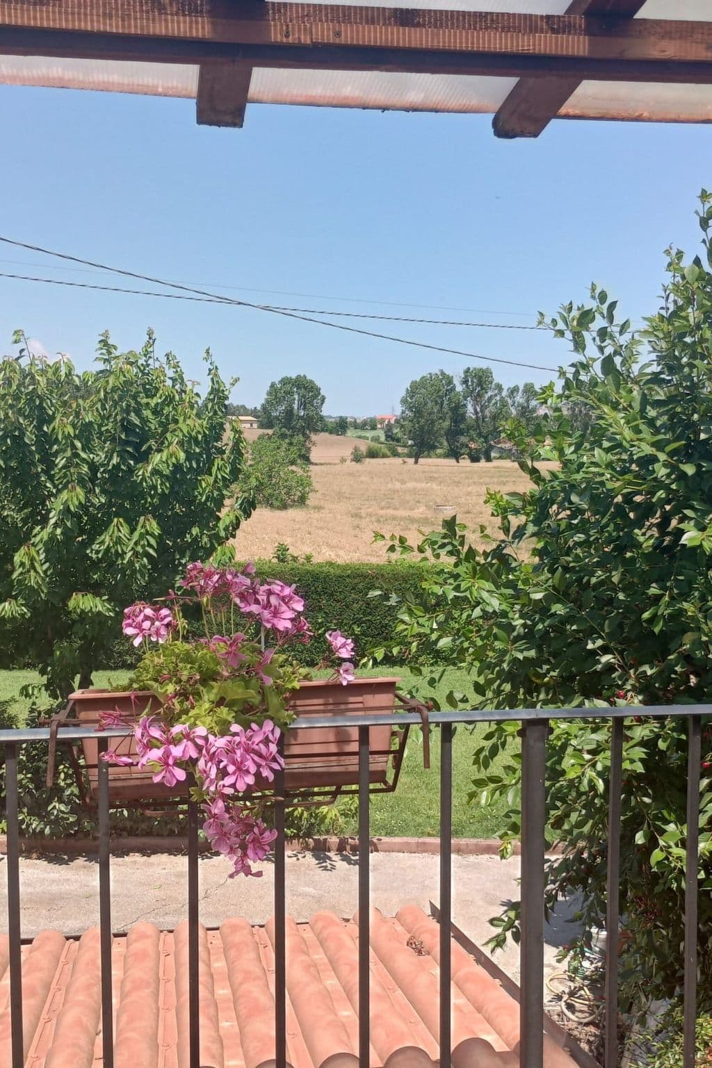 Gallery Image 36