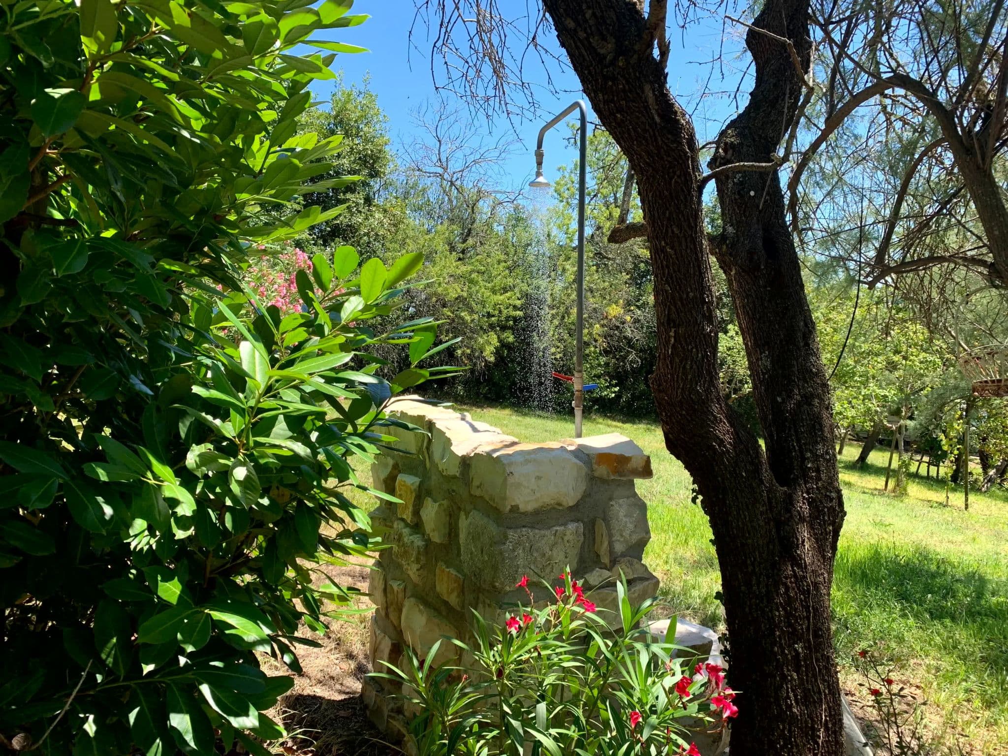 Gallery Image 36