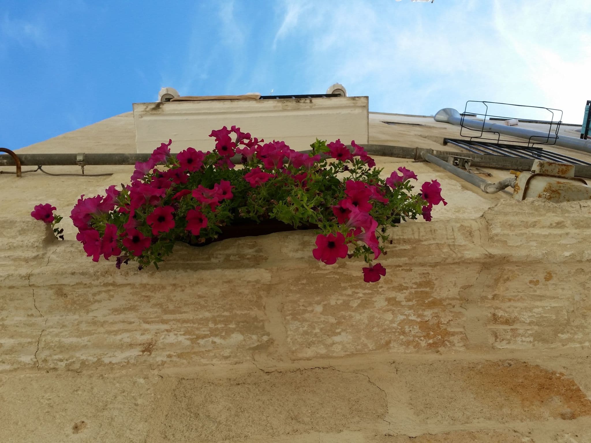 Gallery Image 21