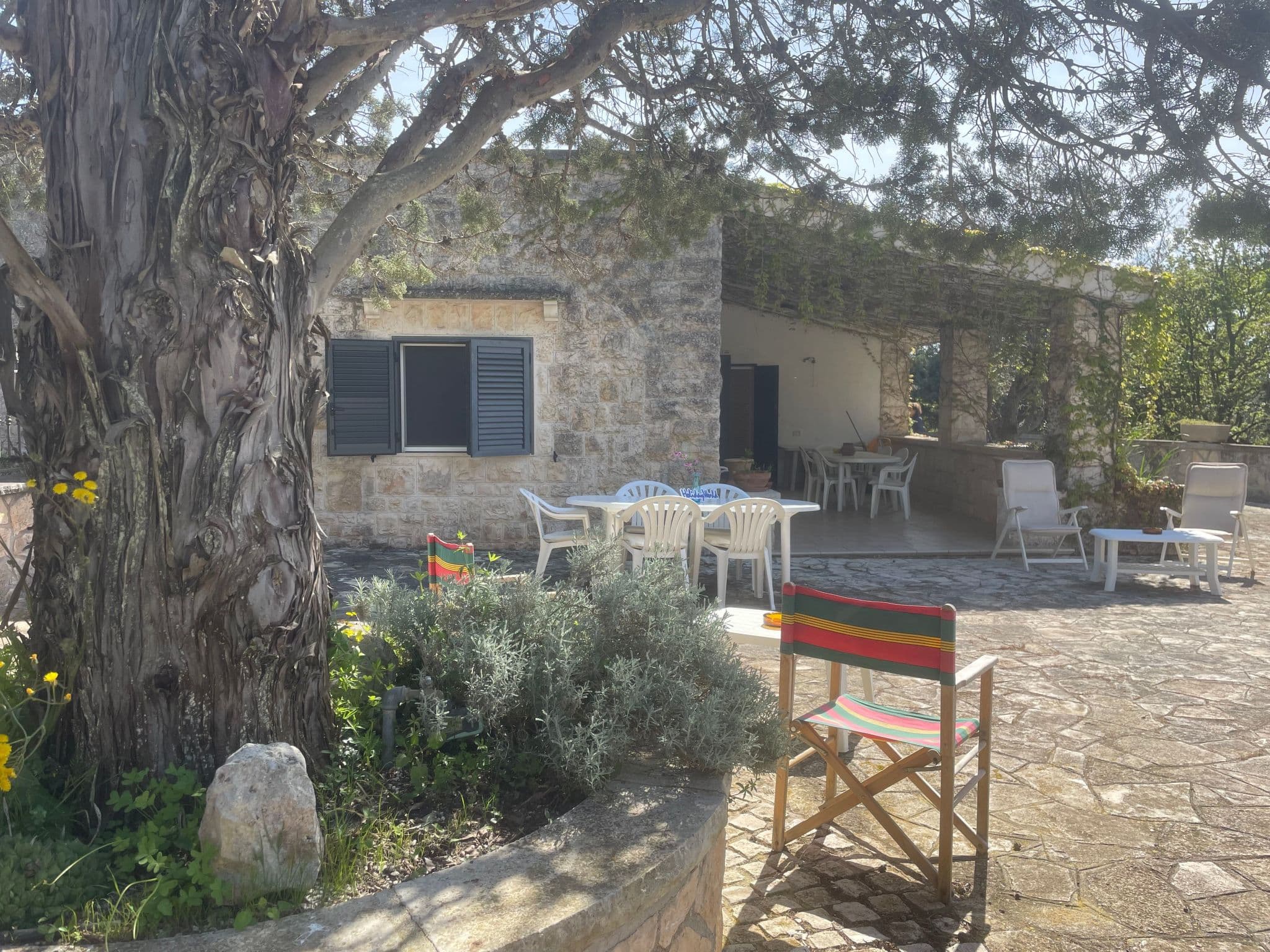 Terrace