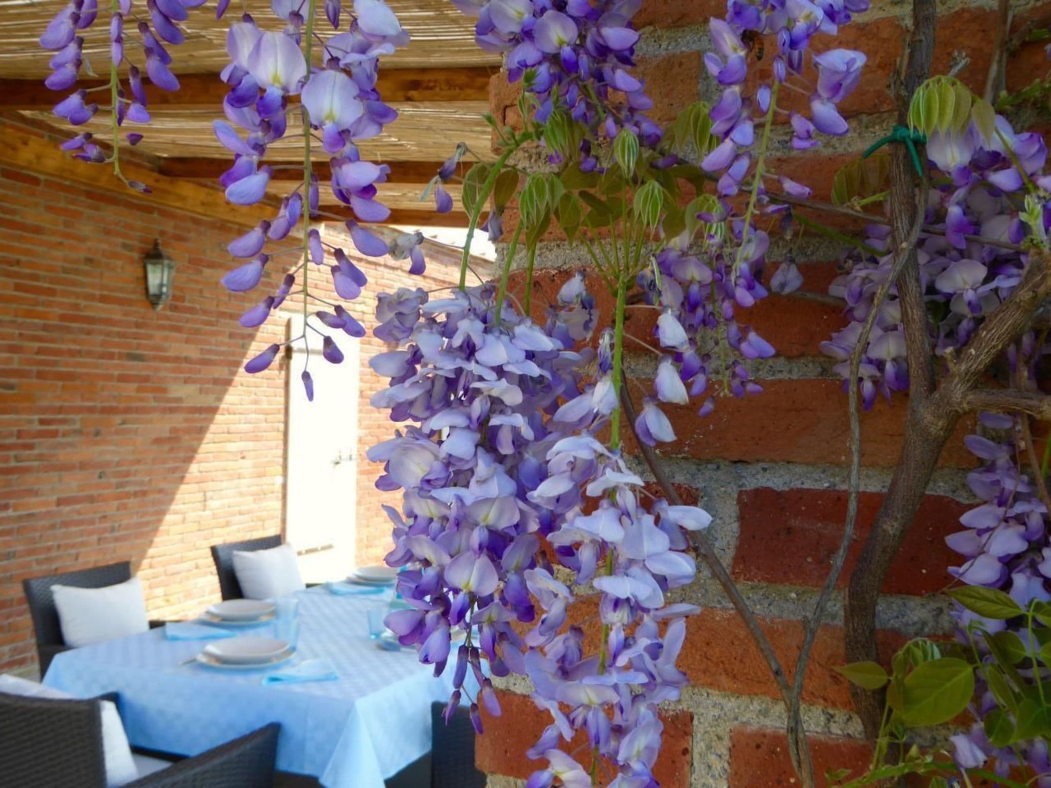 Gallery Image 37