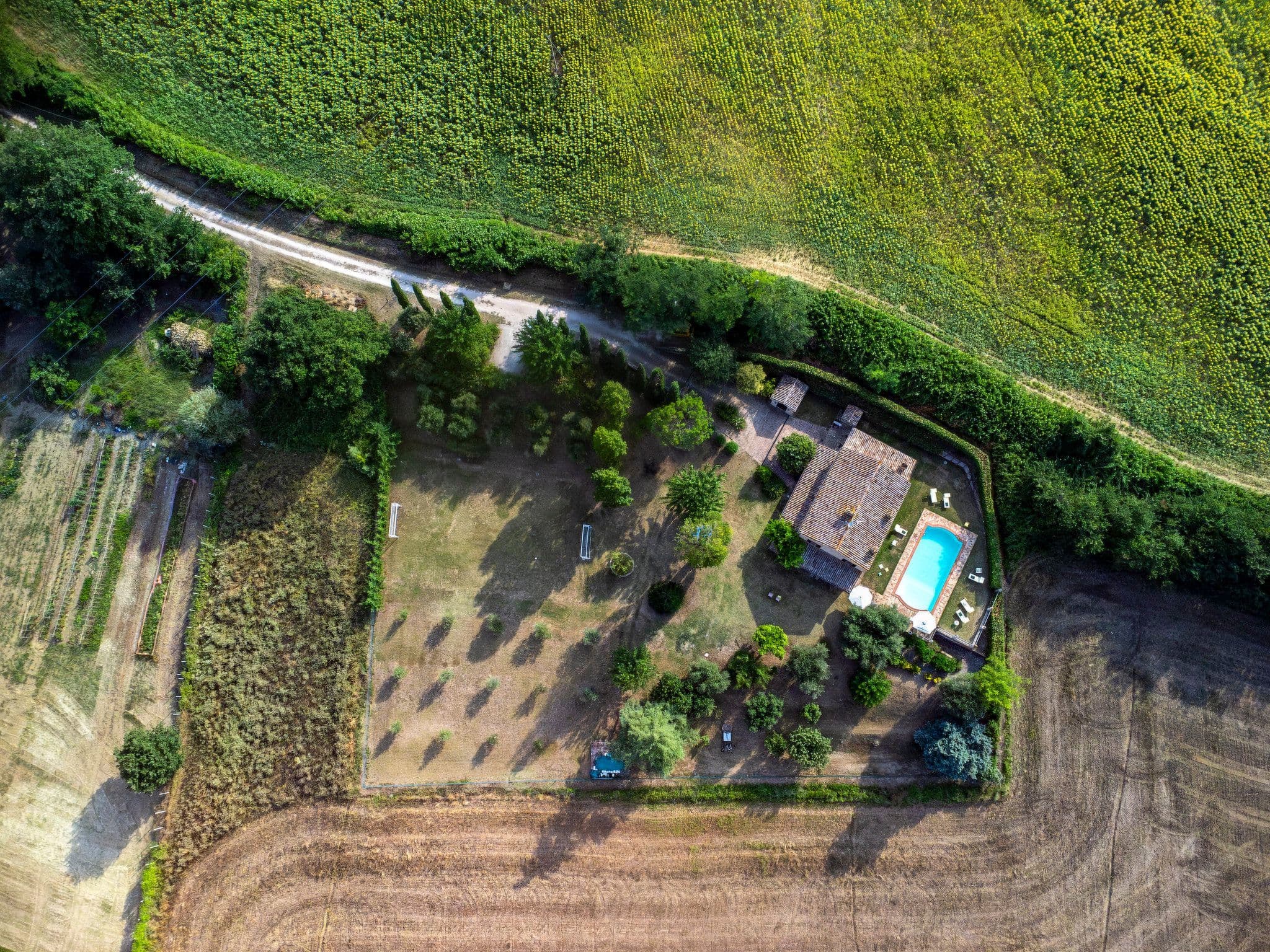 Aerial photography