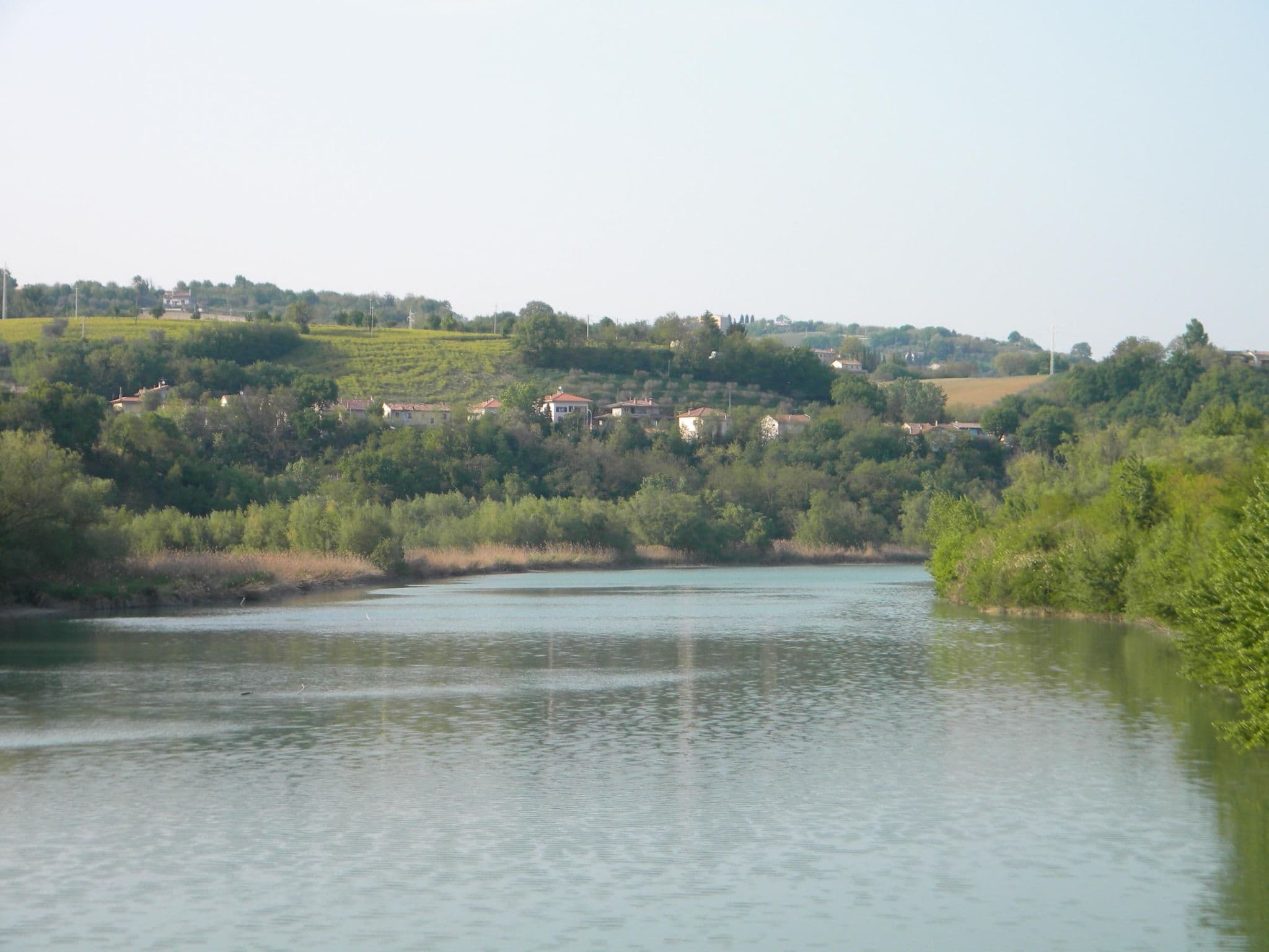 Gallery Image 35