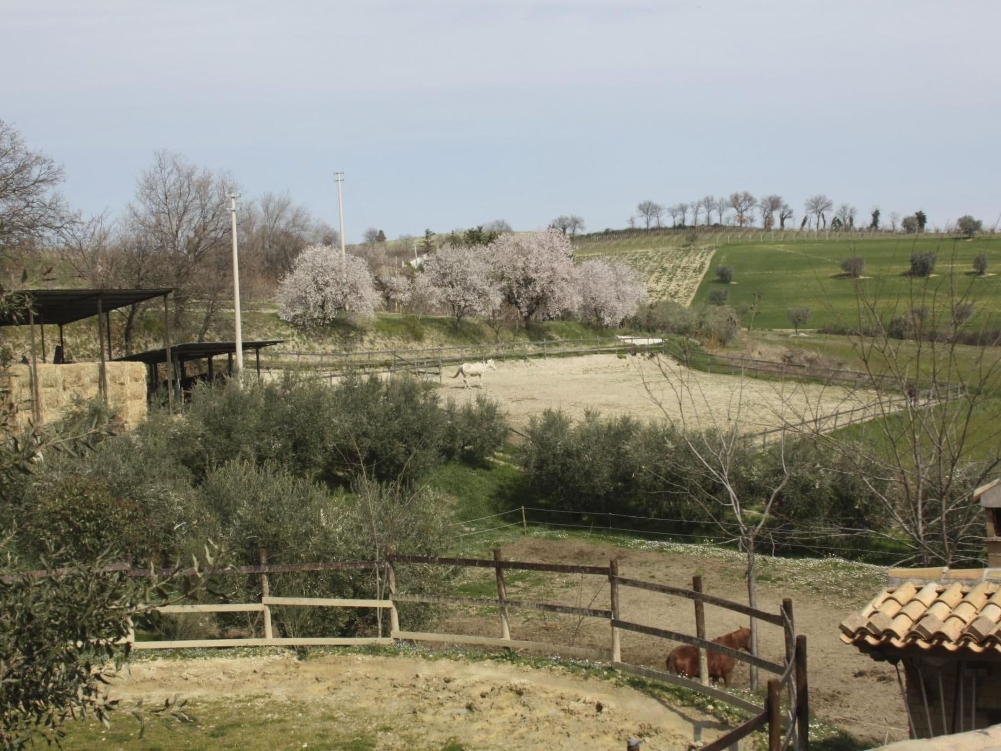 Gallery Image 38