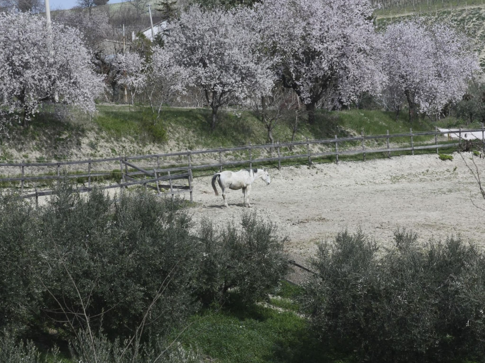 Gallery Image 39