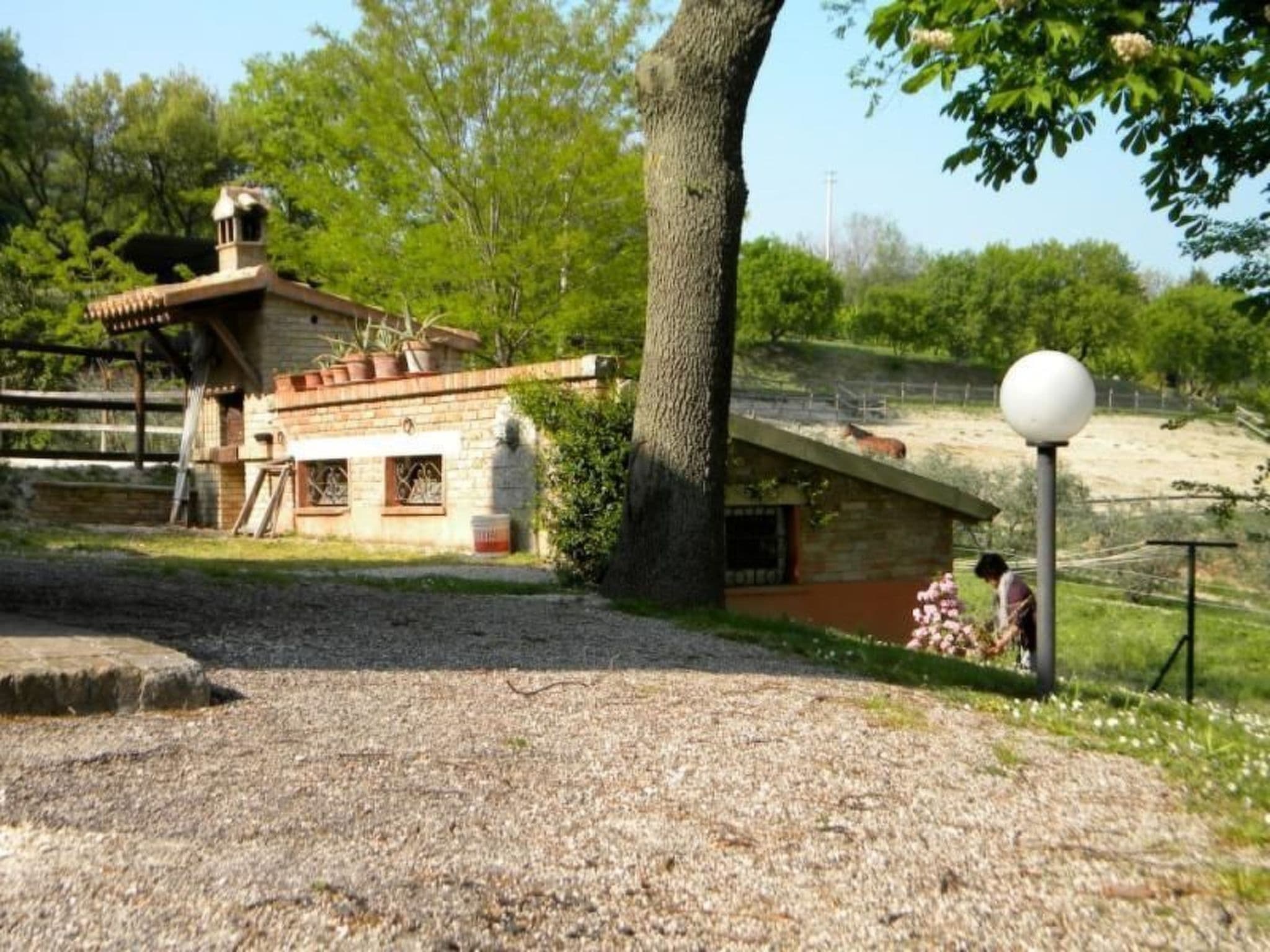 Gallery Image 15