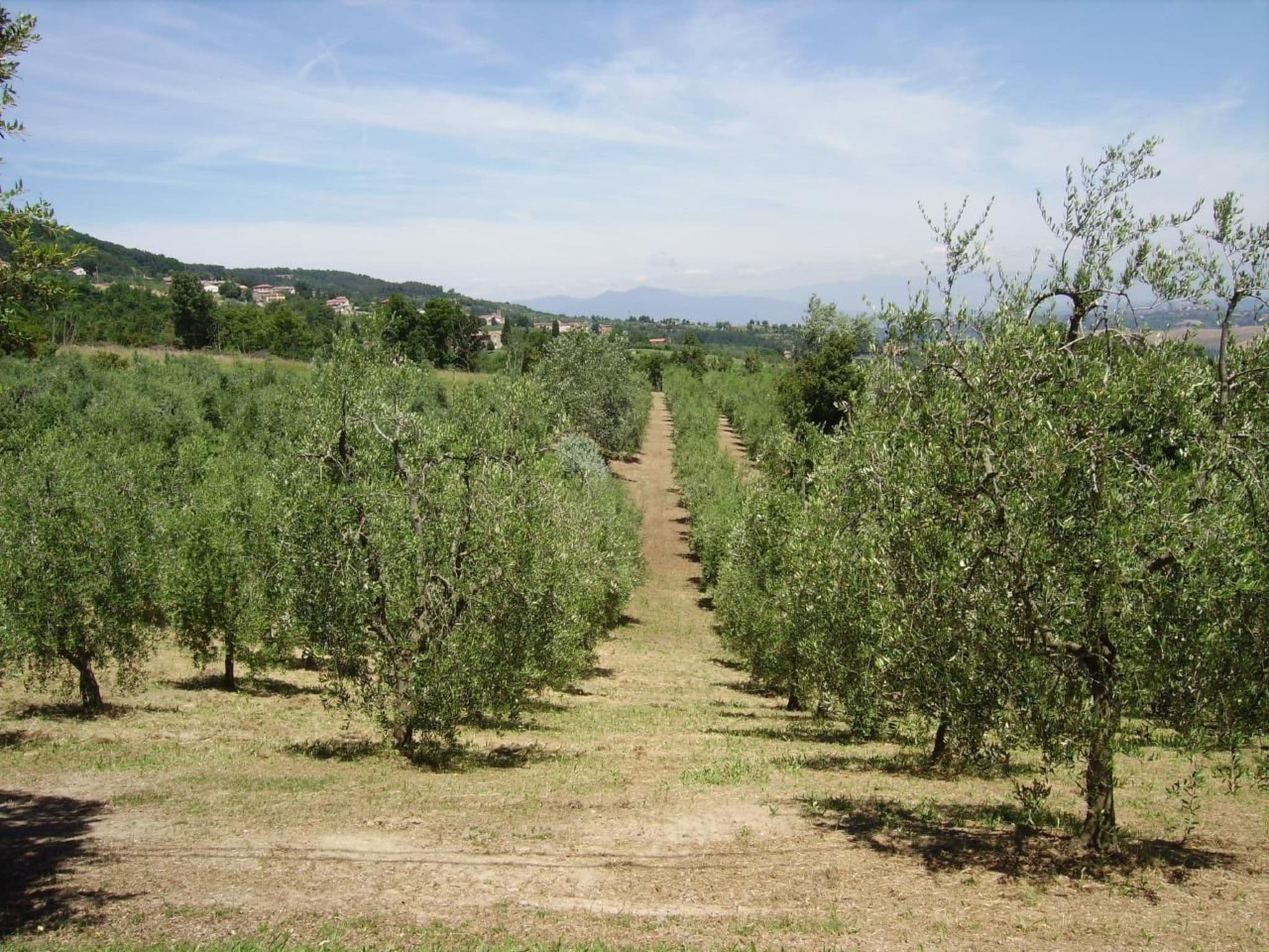 Gallery Image 25