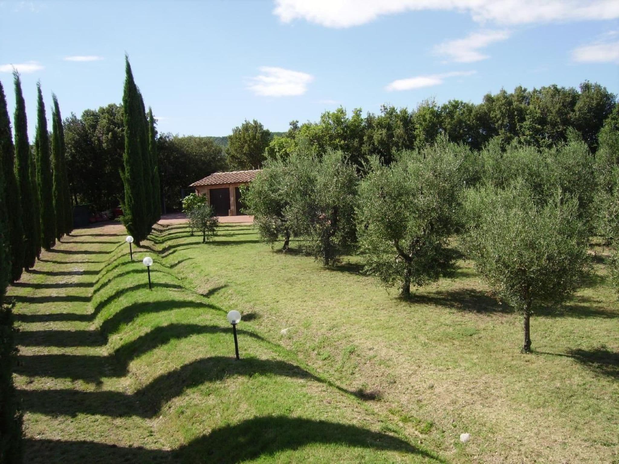 Gallery Image 12