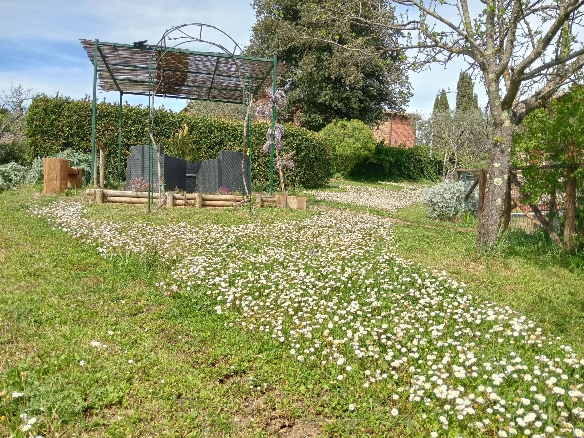 Gallery Image 11