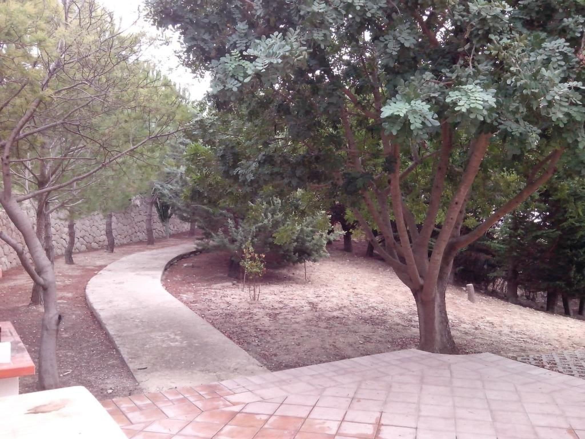 Gallery Image 29