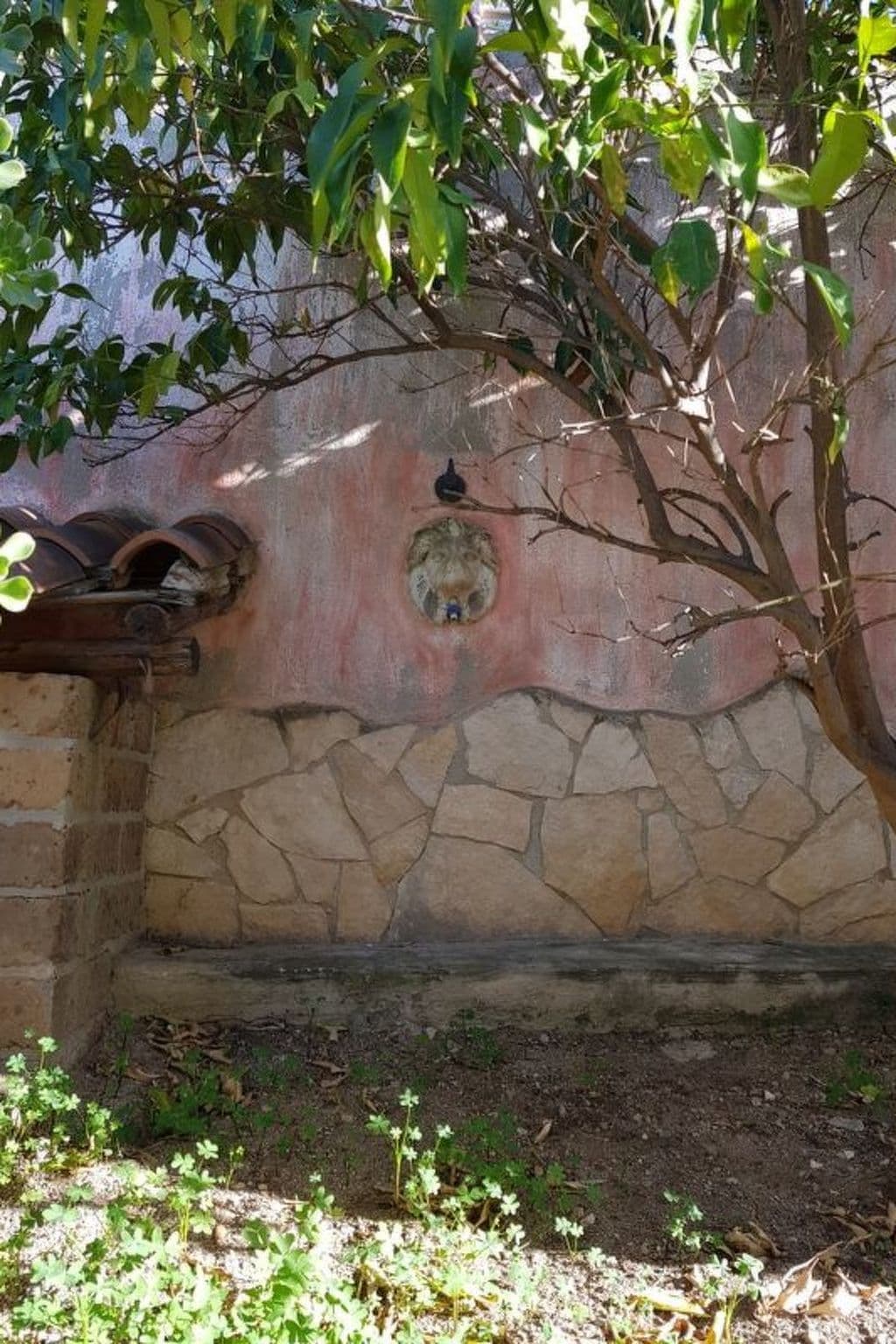 Gallery Image 23
