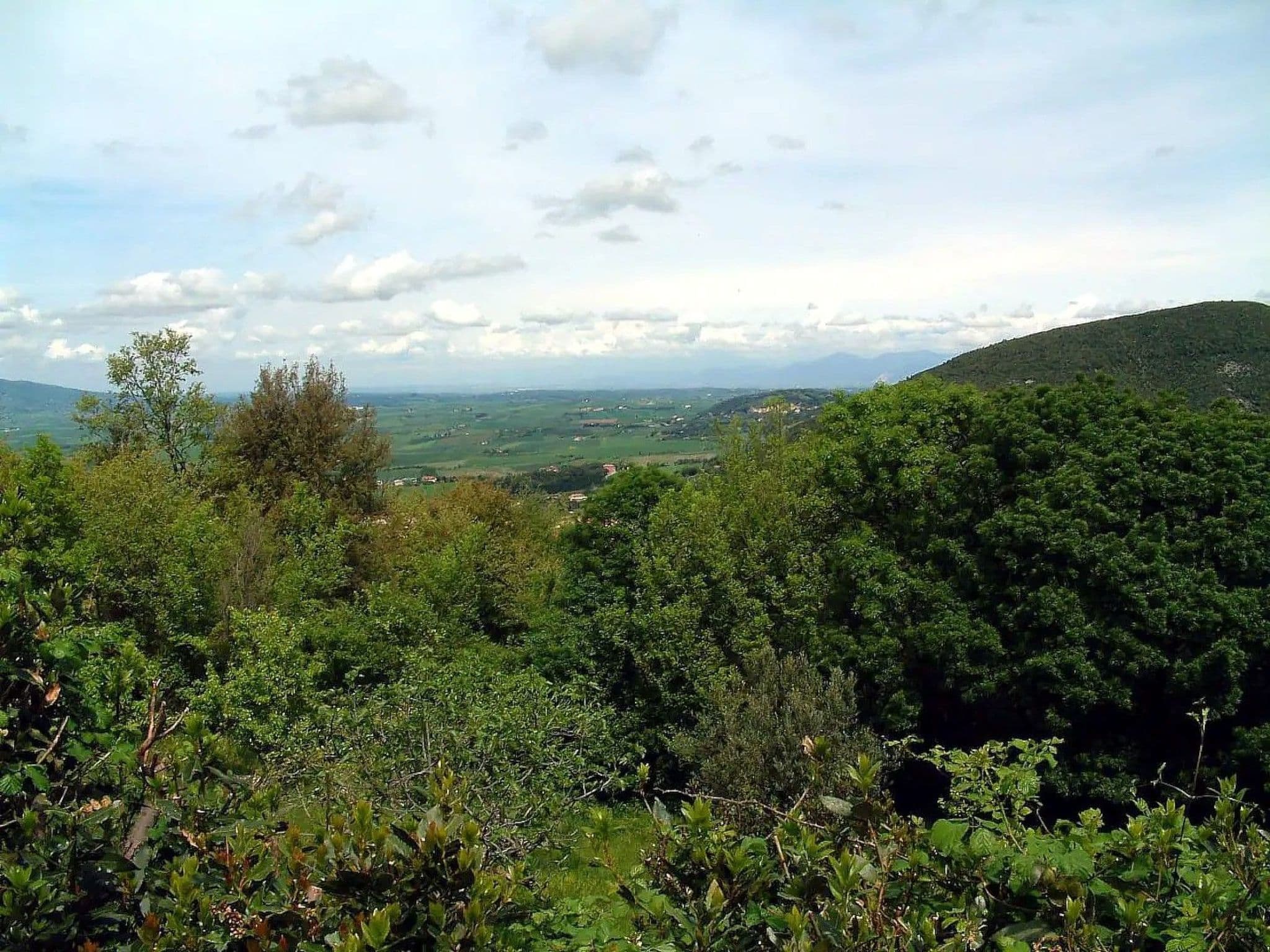 View