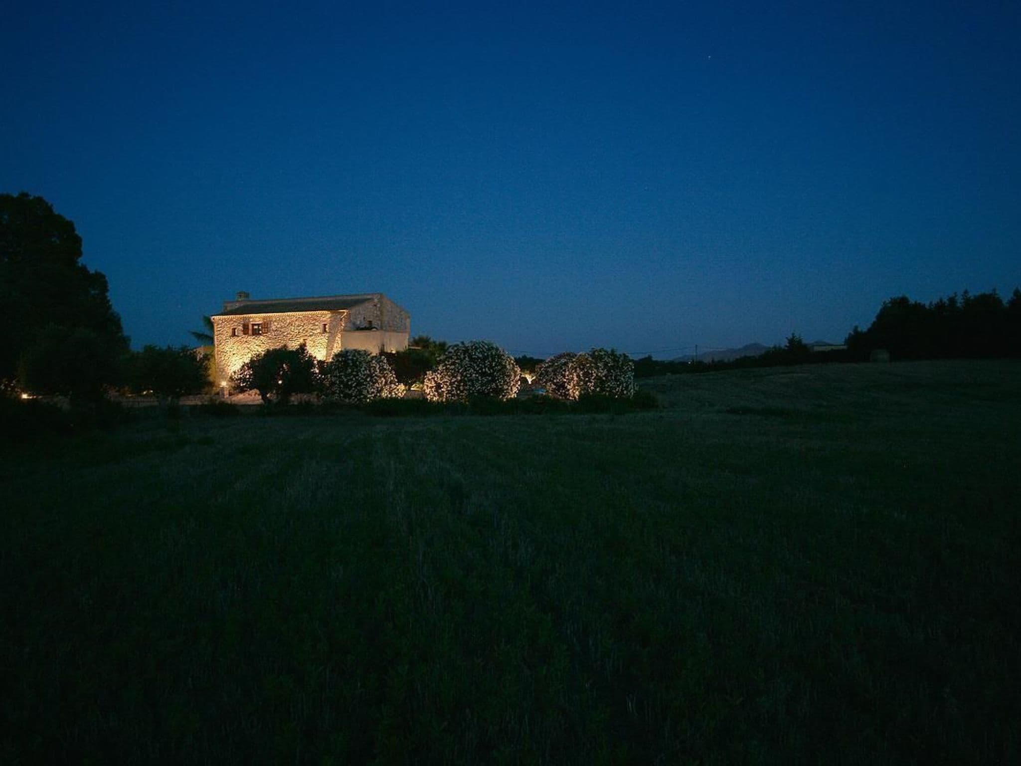 Gallery Image 29
