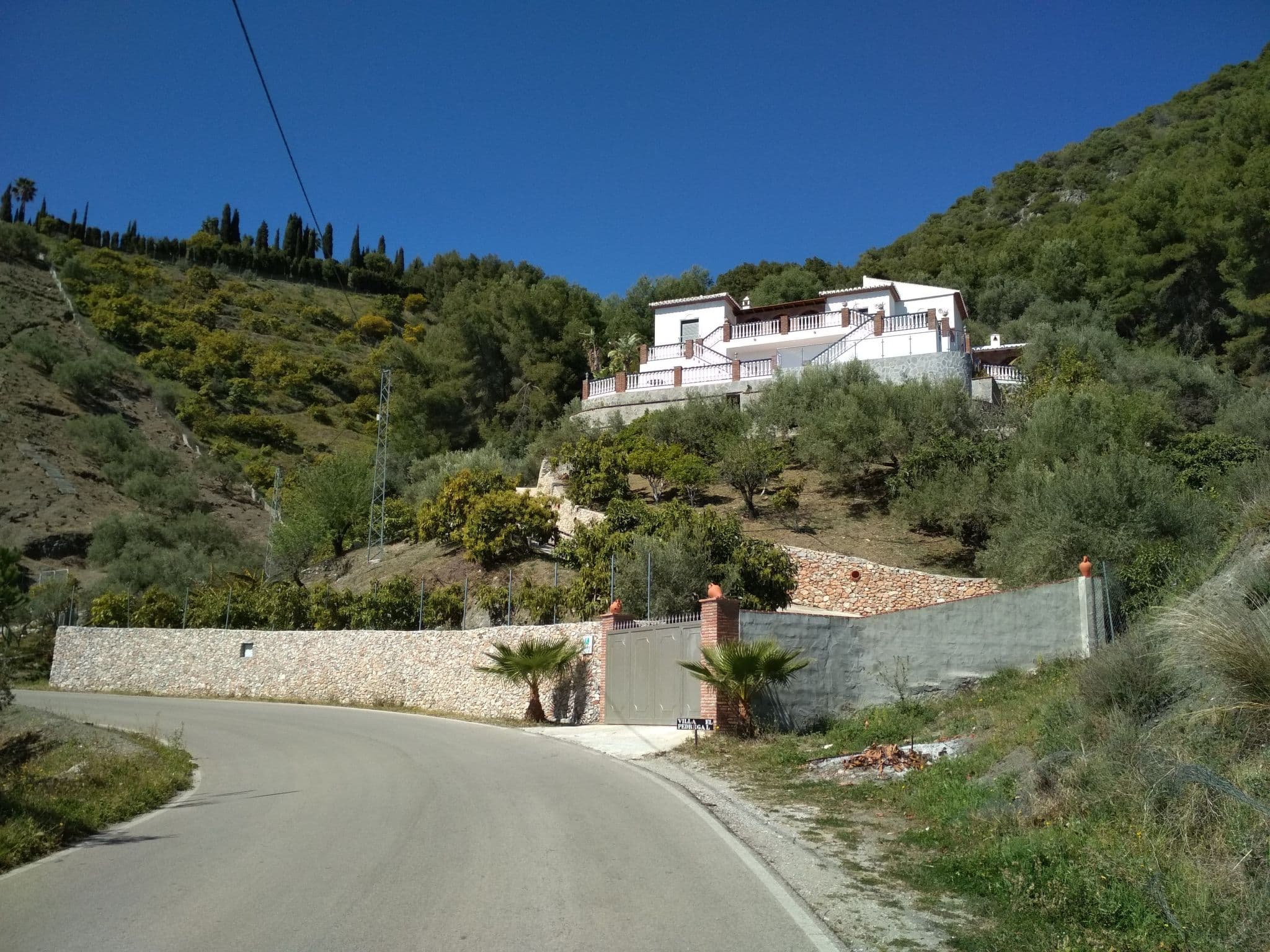 Gallery Image 20
