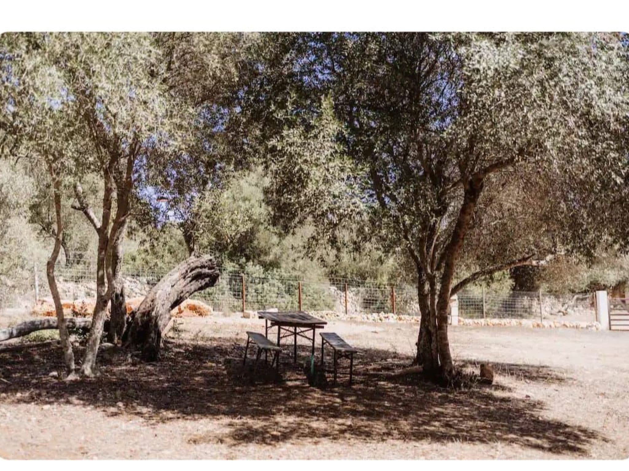 Gallery Image 16