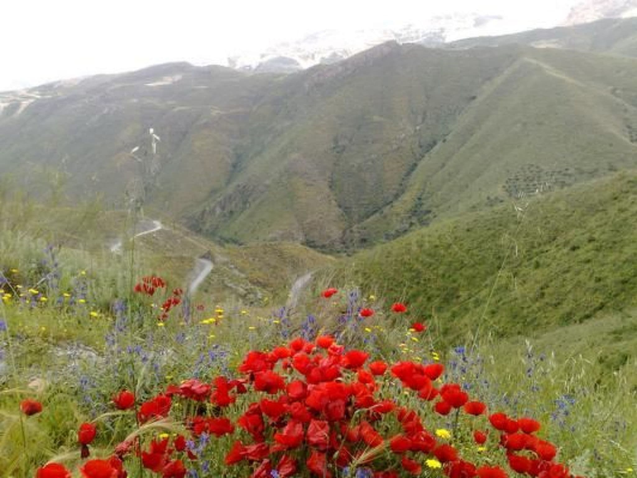 Gallery Image 10