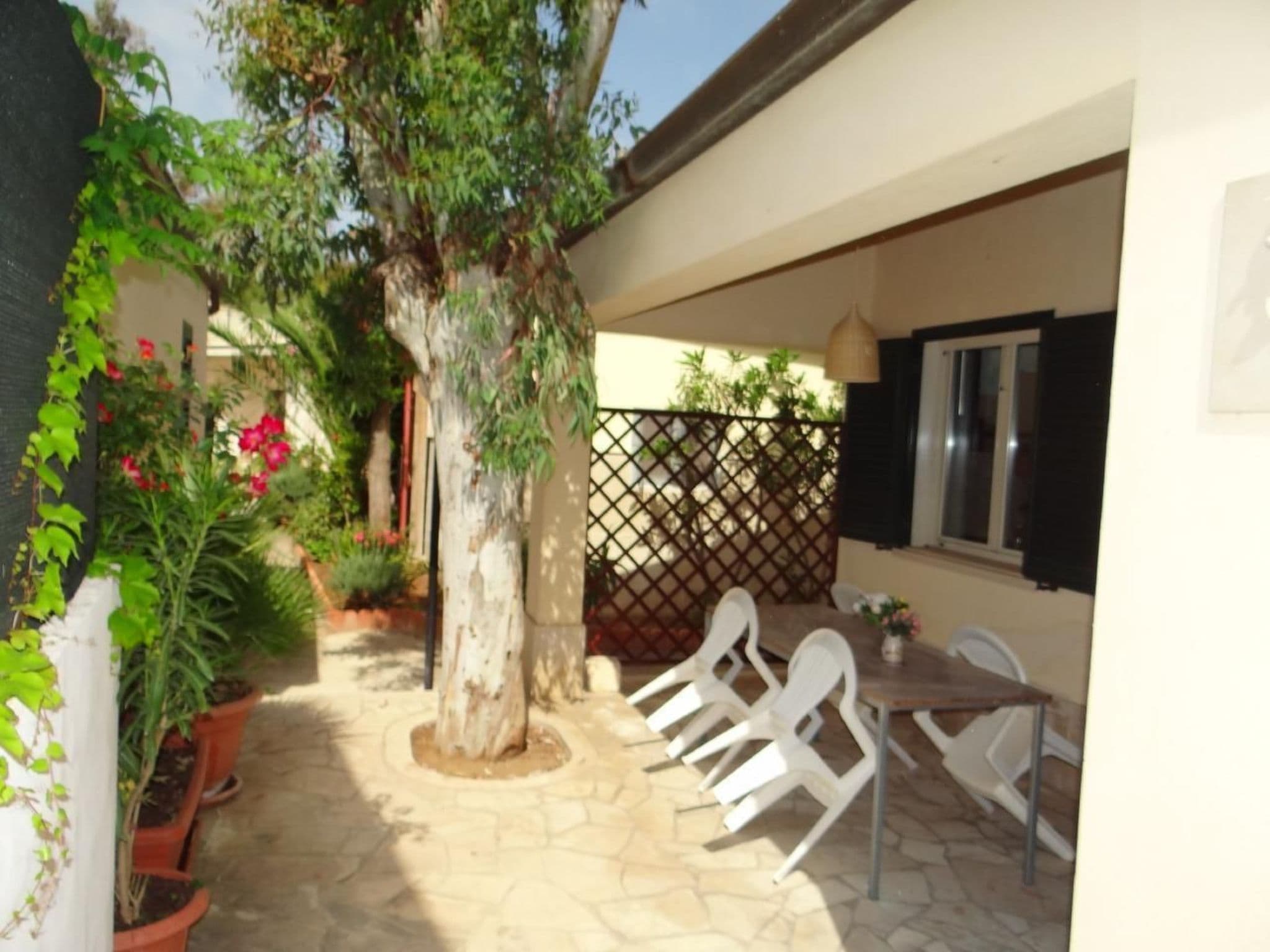 Gallery Image 21