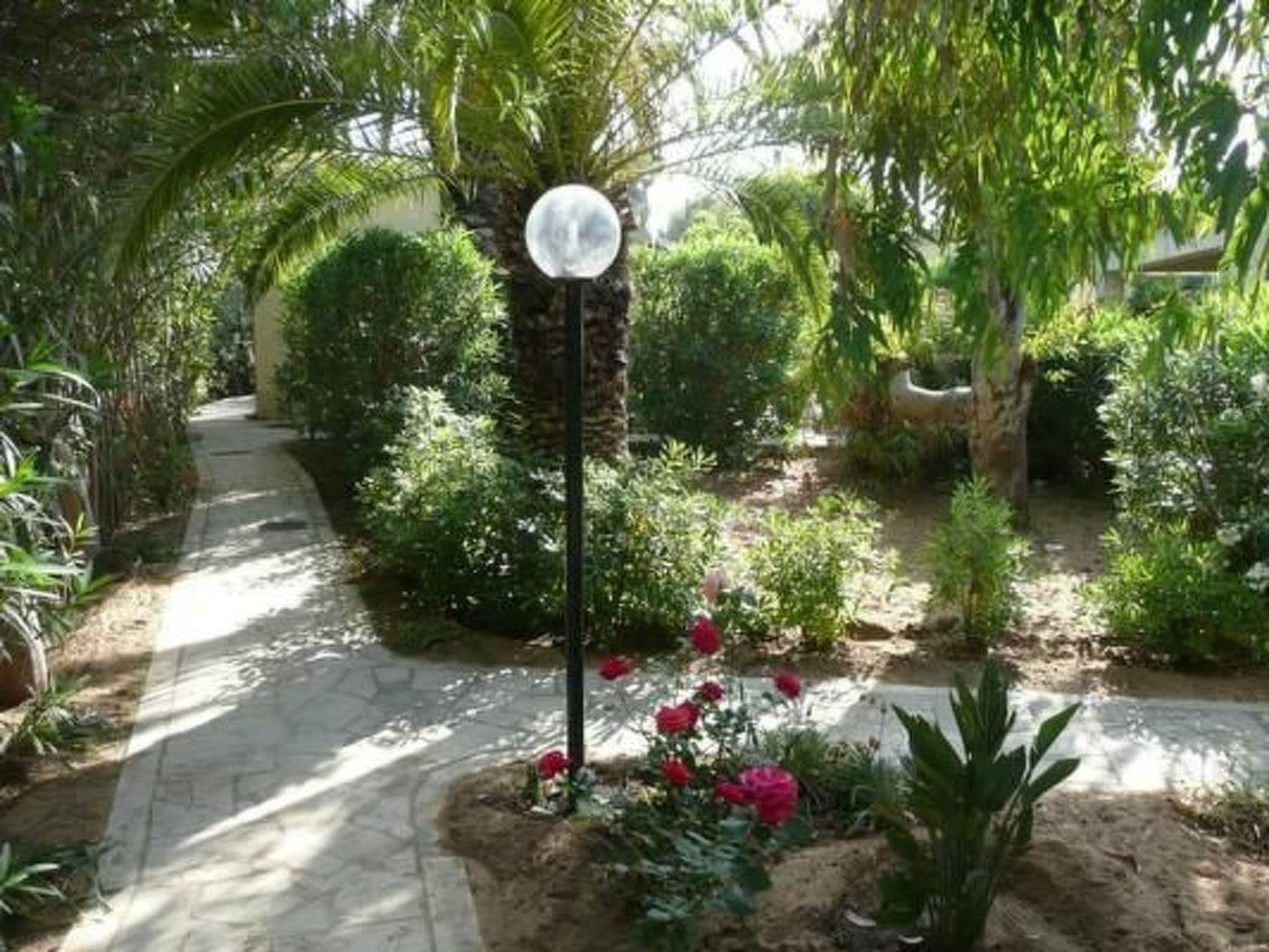 Gallery Image 37