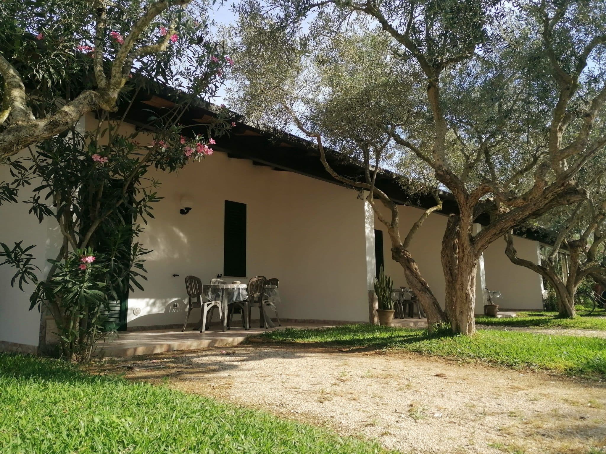 Gallery Image 12