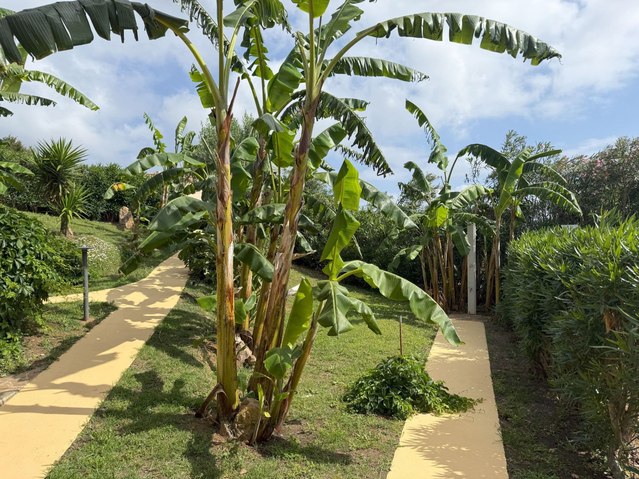 Gallery Image 18