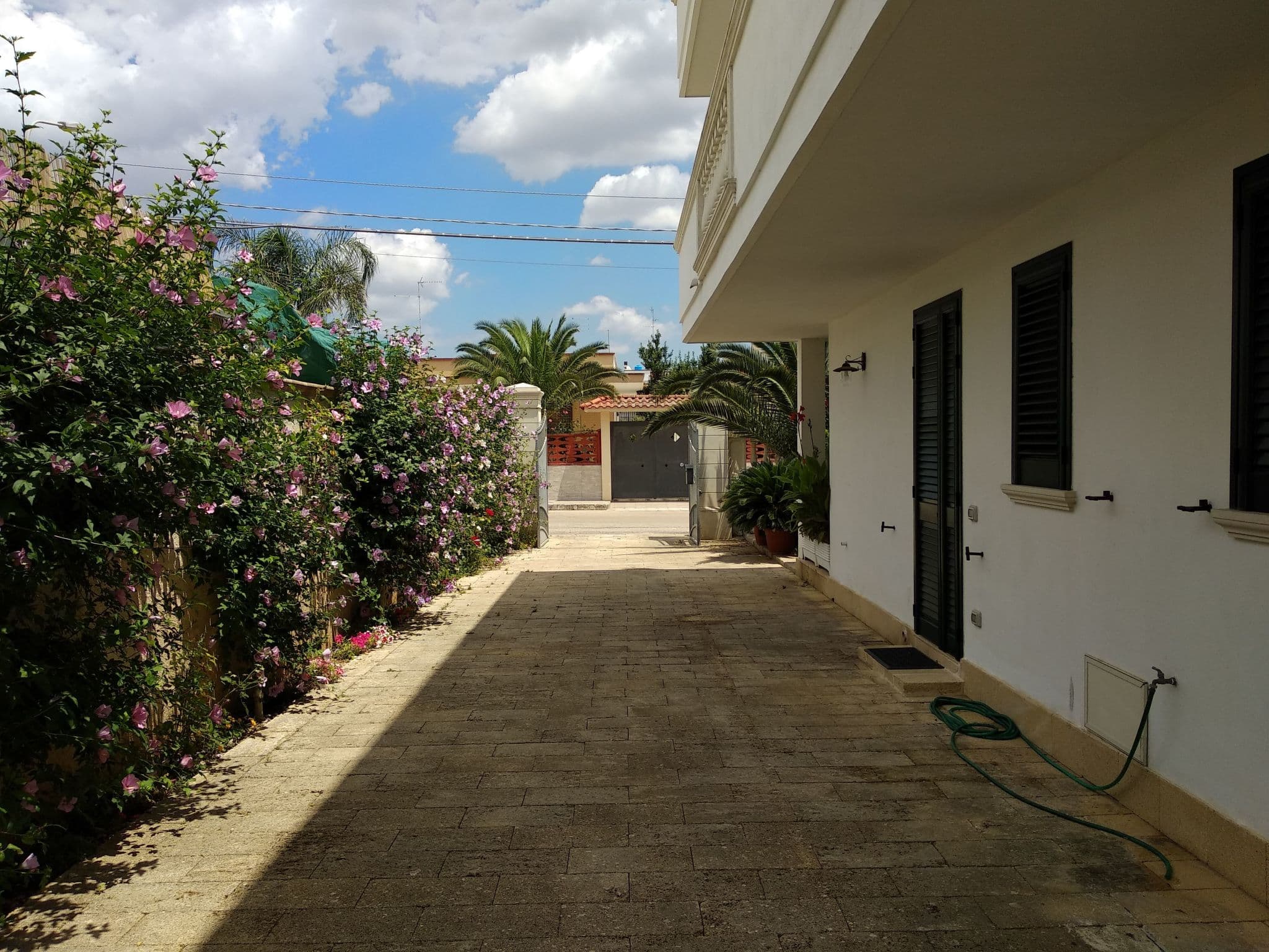 Gallery Image 13