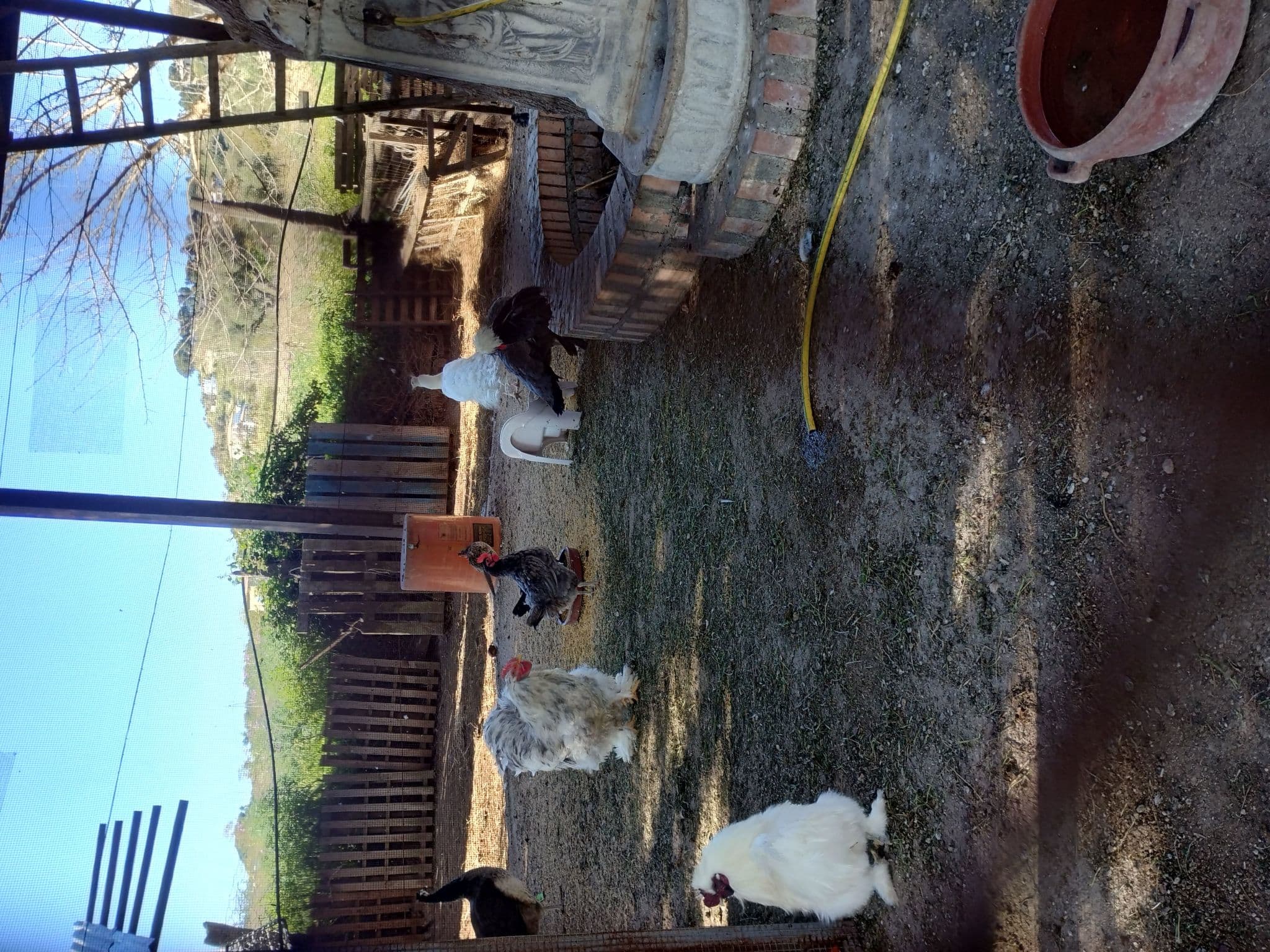 Gallery Image 28