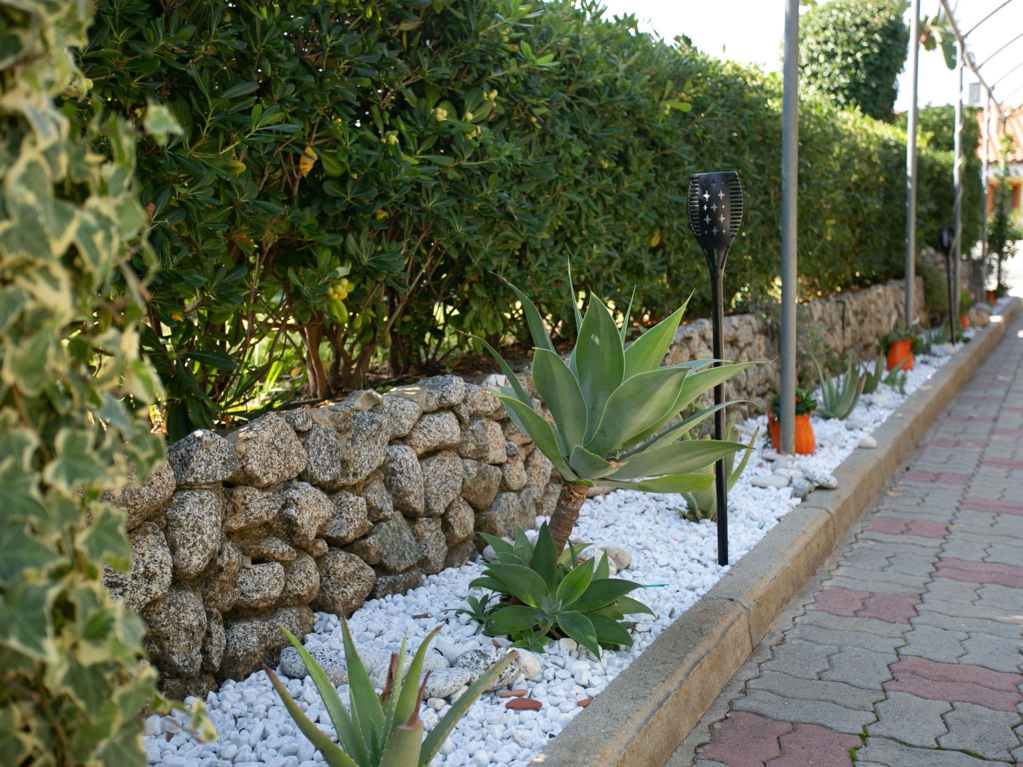 Gallery Image 25