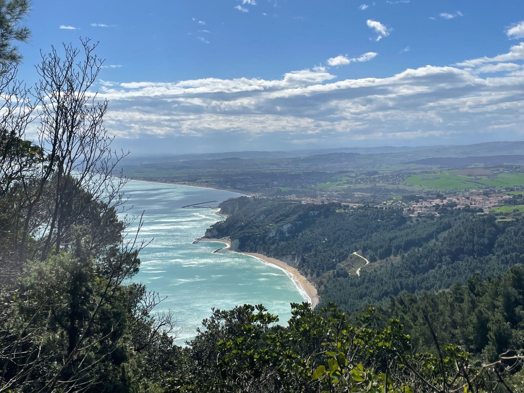 View