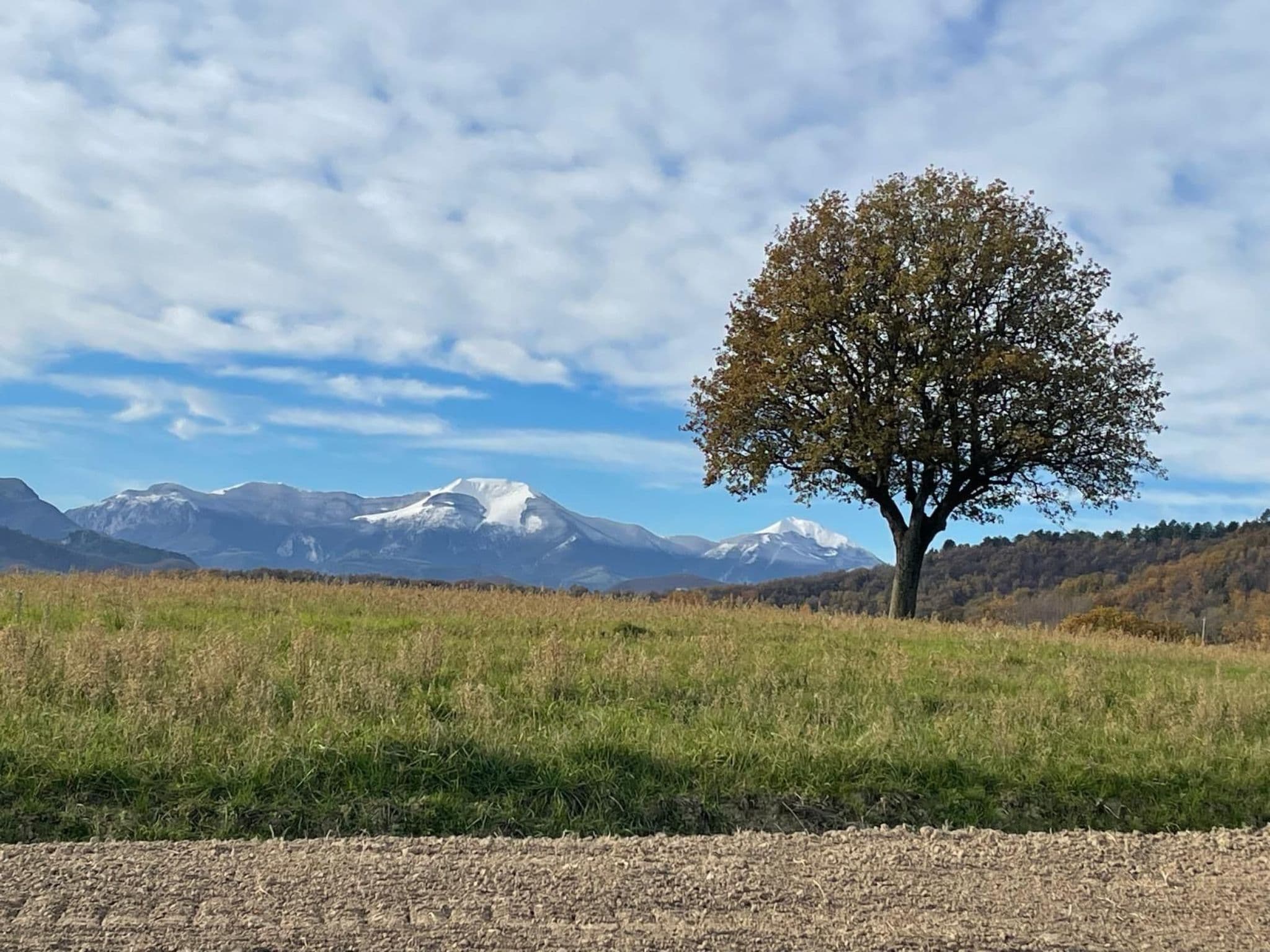 View