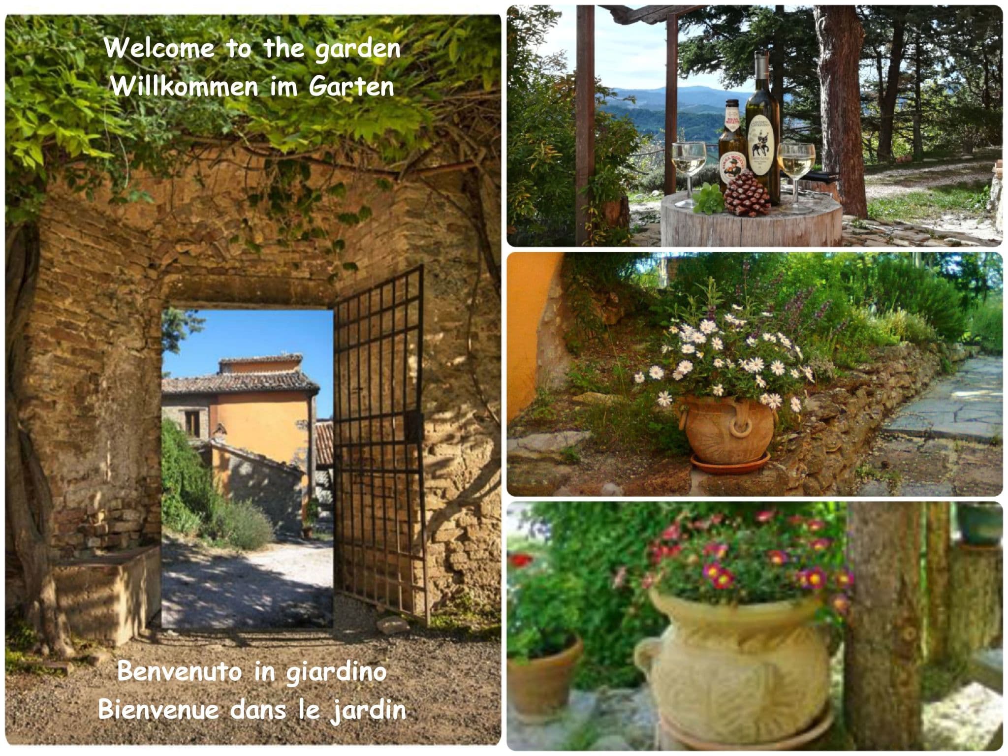 Gallery Image 12