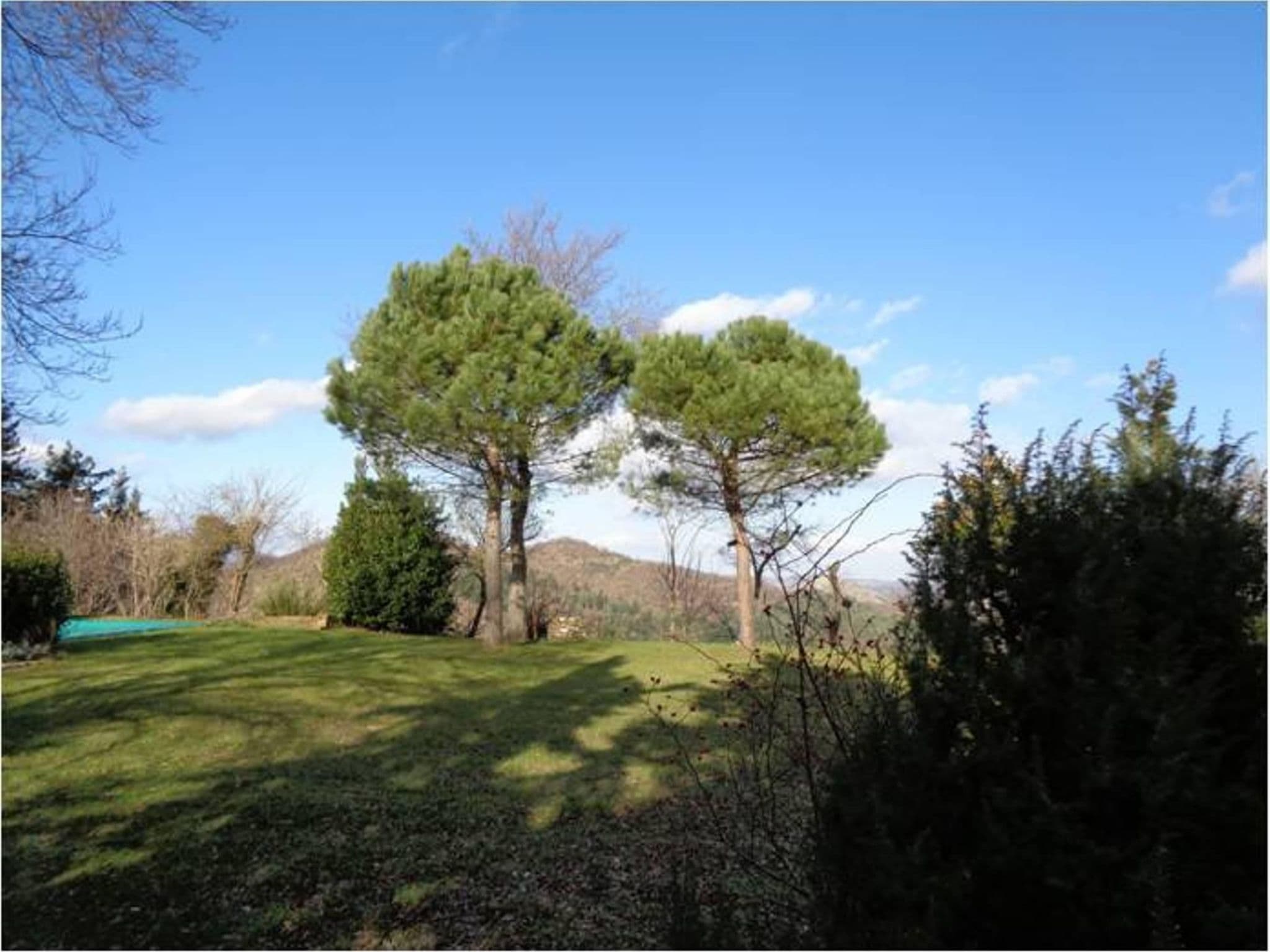 Gallery Image 18
